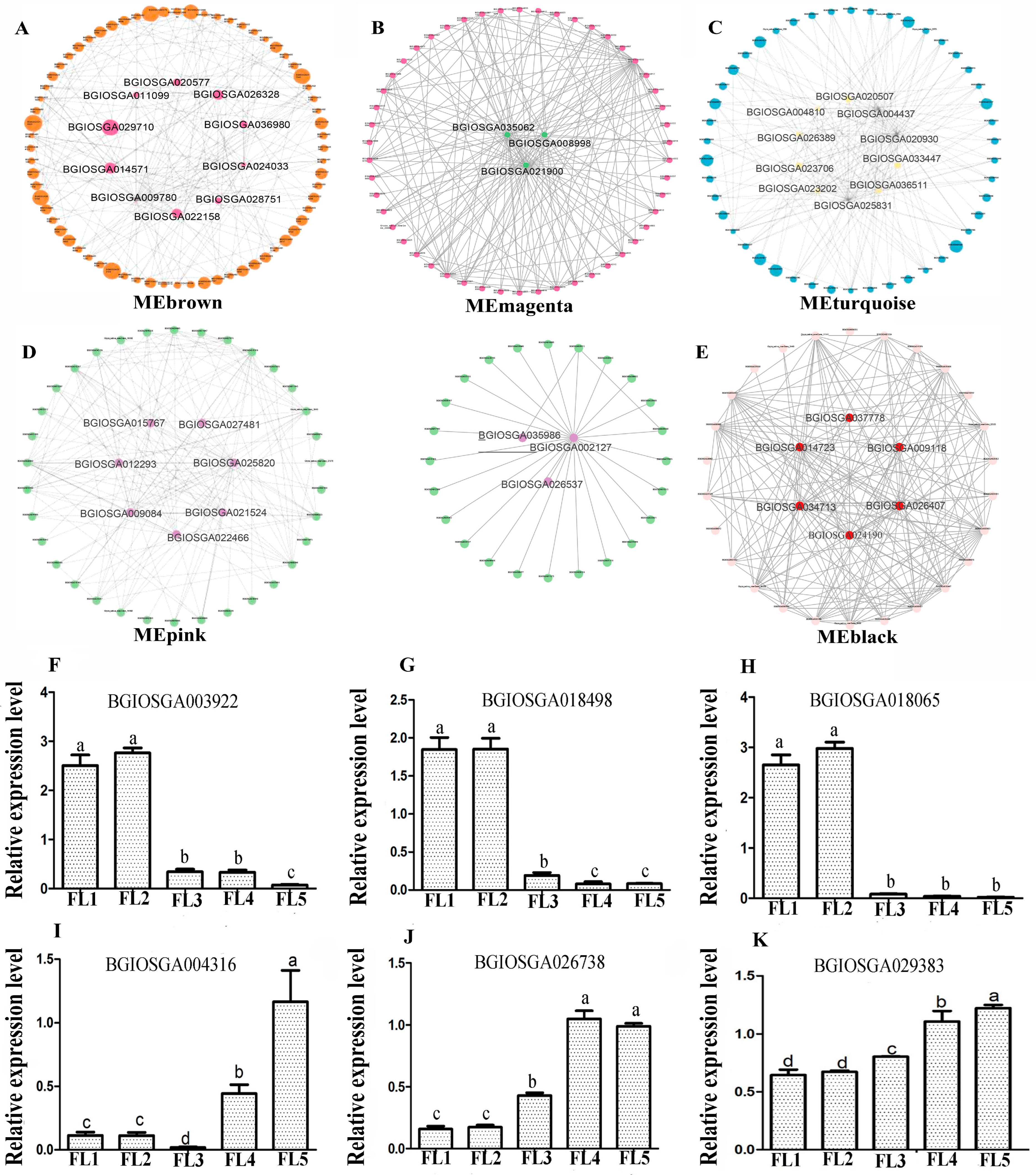 Plants 14 02973 g004 Plants 14 02973 g004