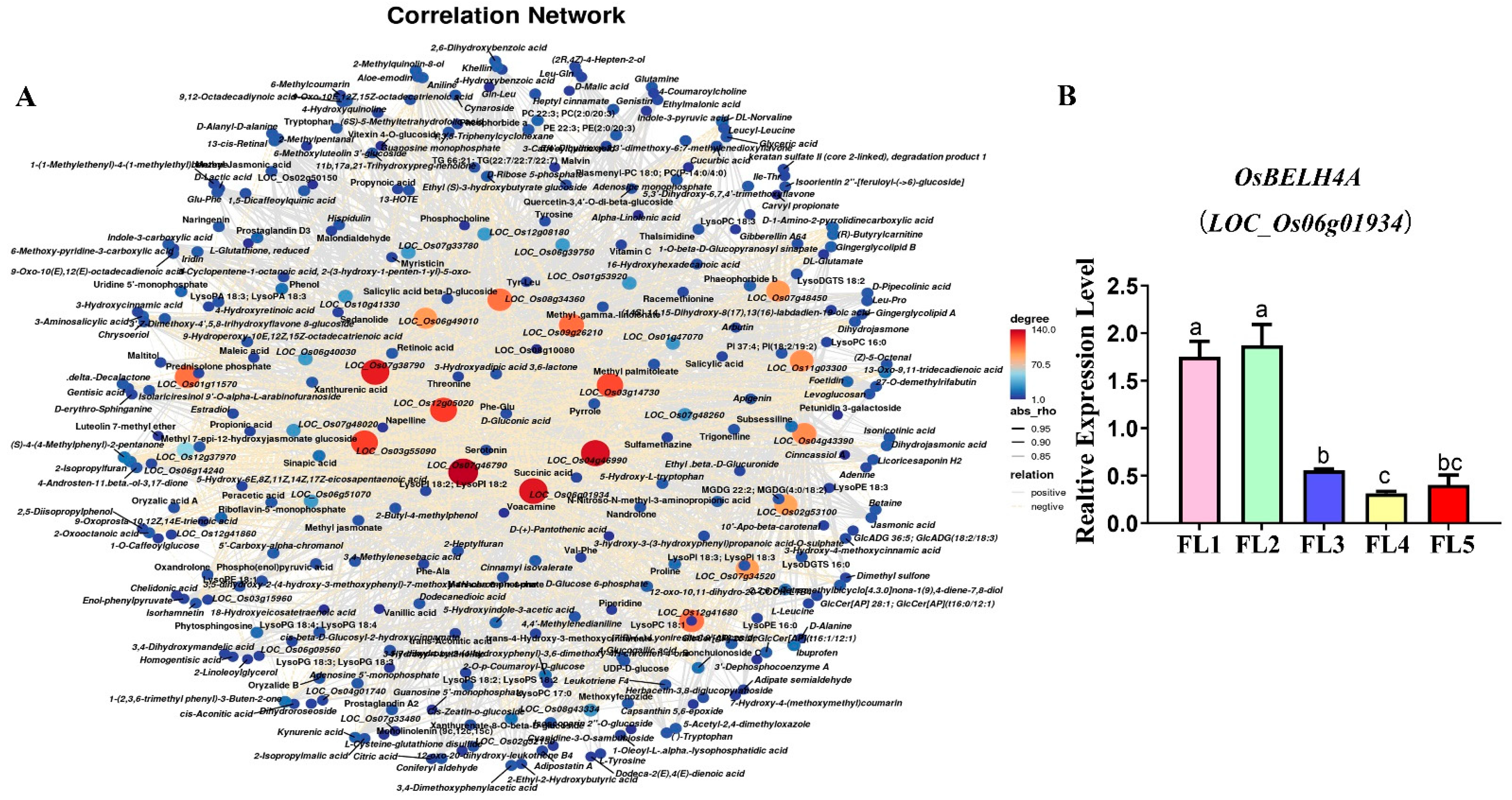Plants 14 02973 g006 Plants 14 02973 g006