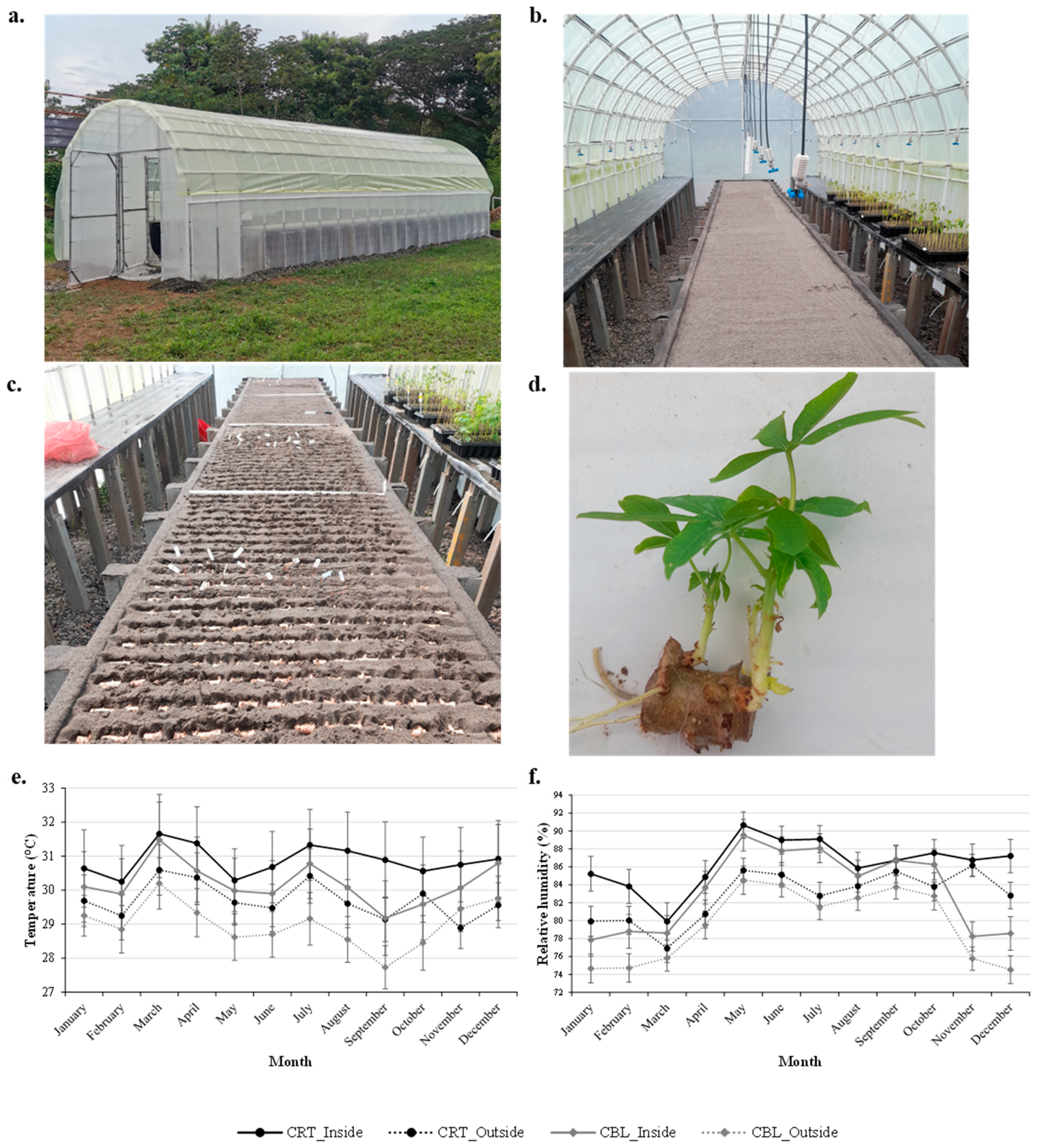 Plants 14 02983 g001