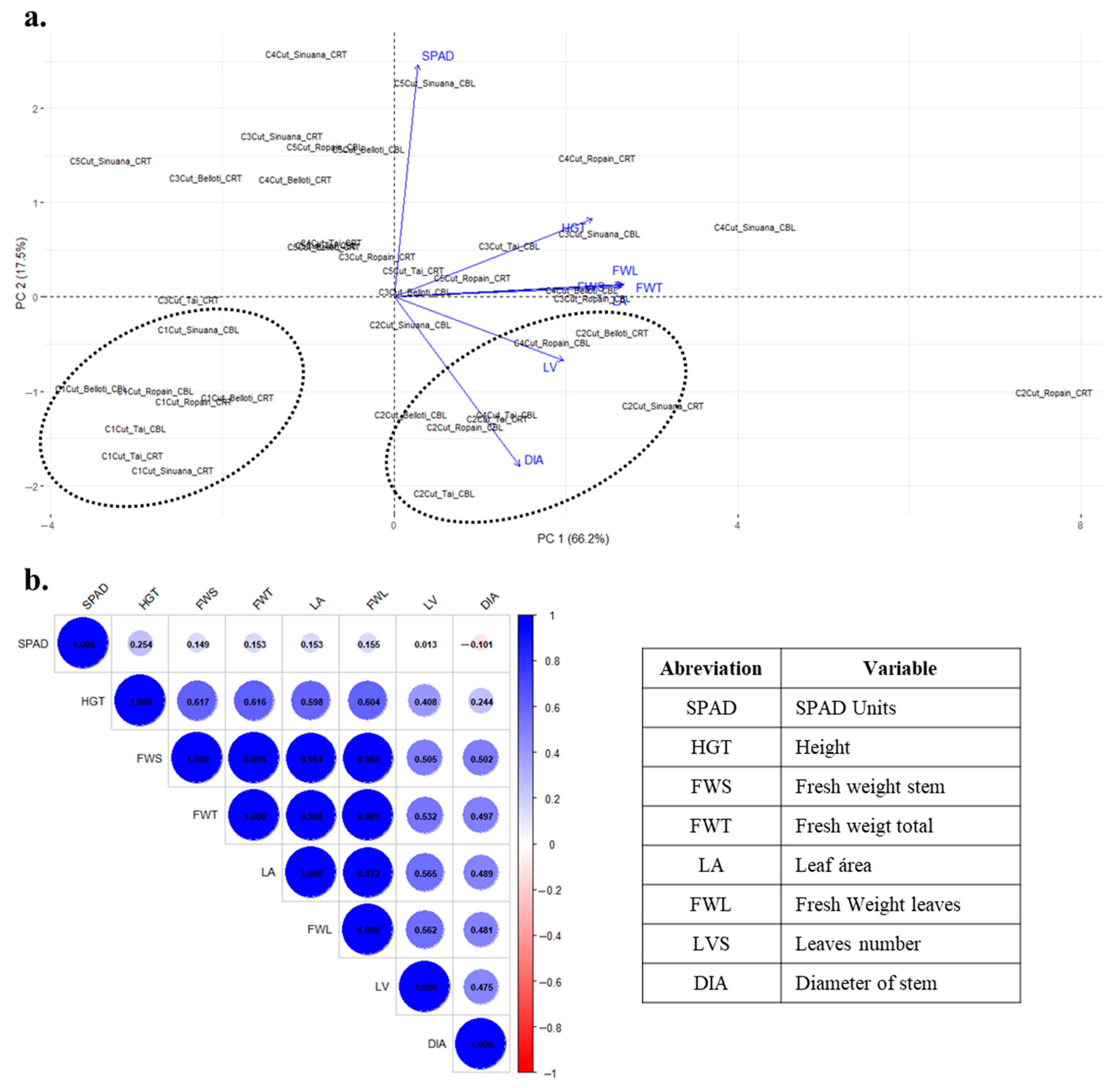 Plants 14 02983 g002