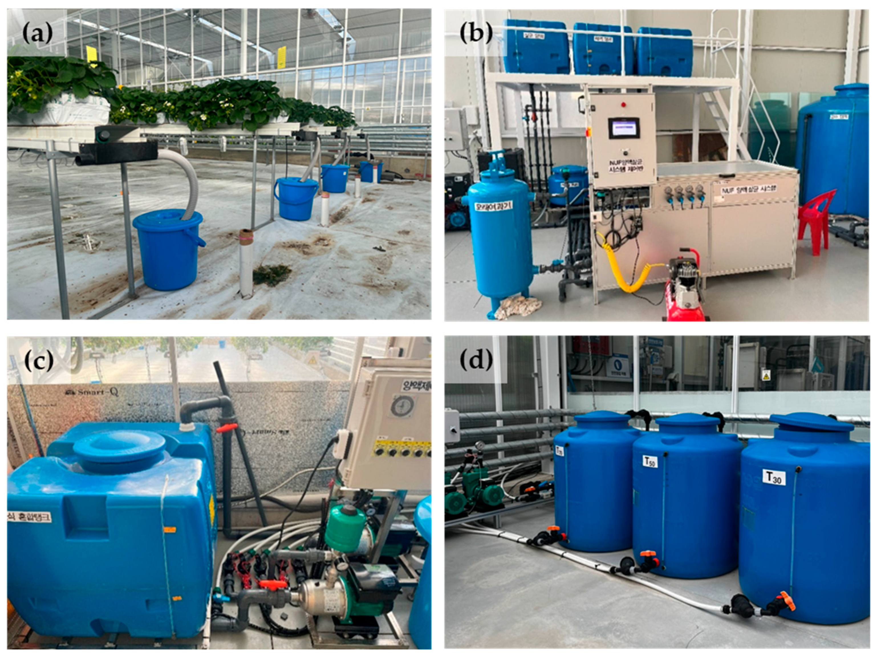 Plants 14 02984 g006 Plants 14 02984 g006