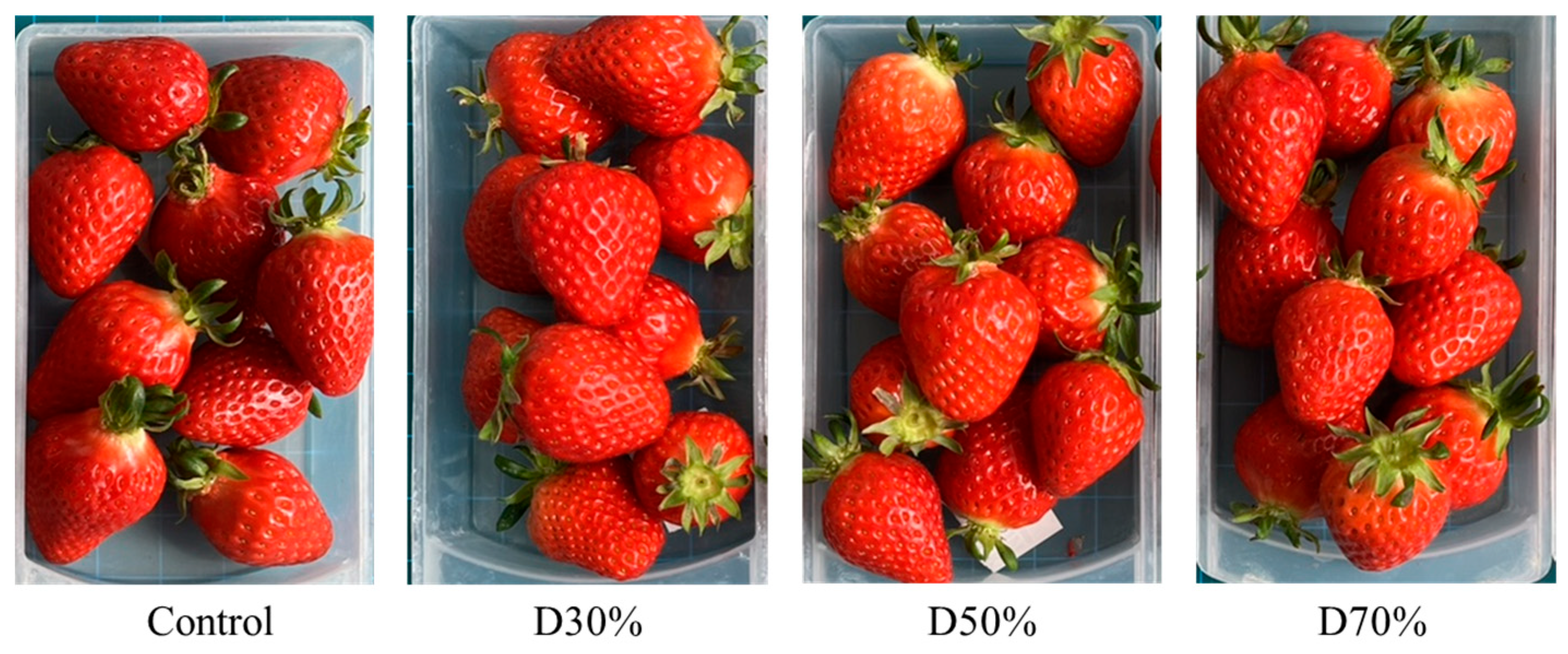 Plants 14 02984 g007 Plants 14 02984 g007