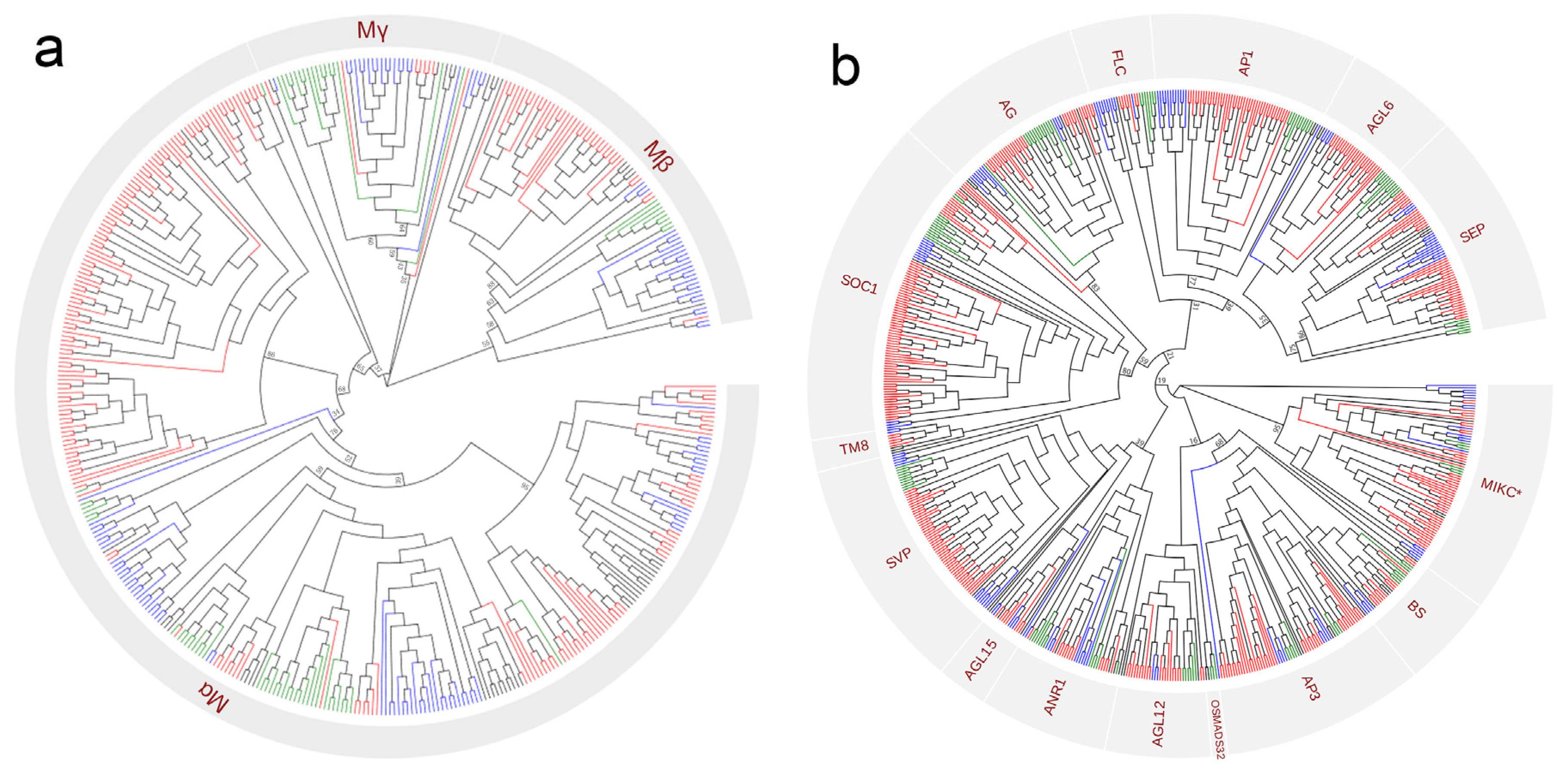 Plants 14 02991 g001 Plants 14 02991 g001