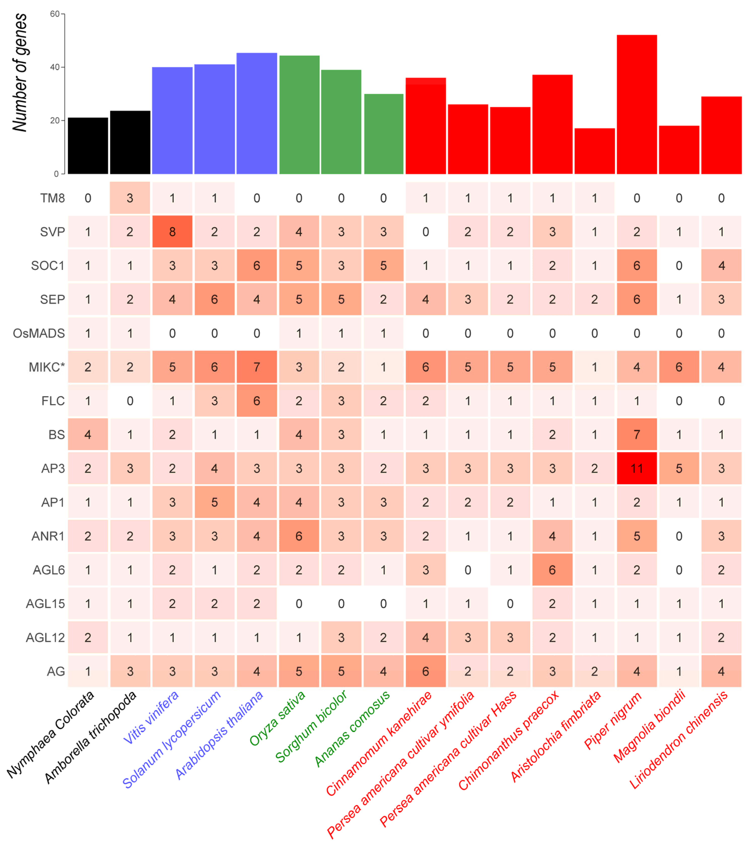 Plants 14 02991 g002 Plants 14 02991 g002