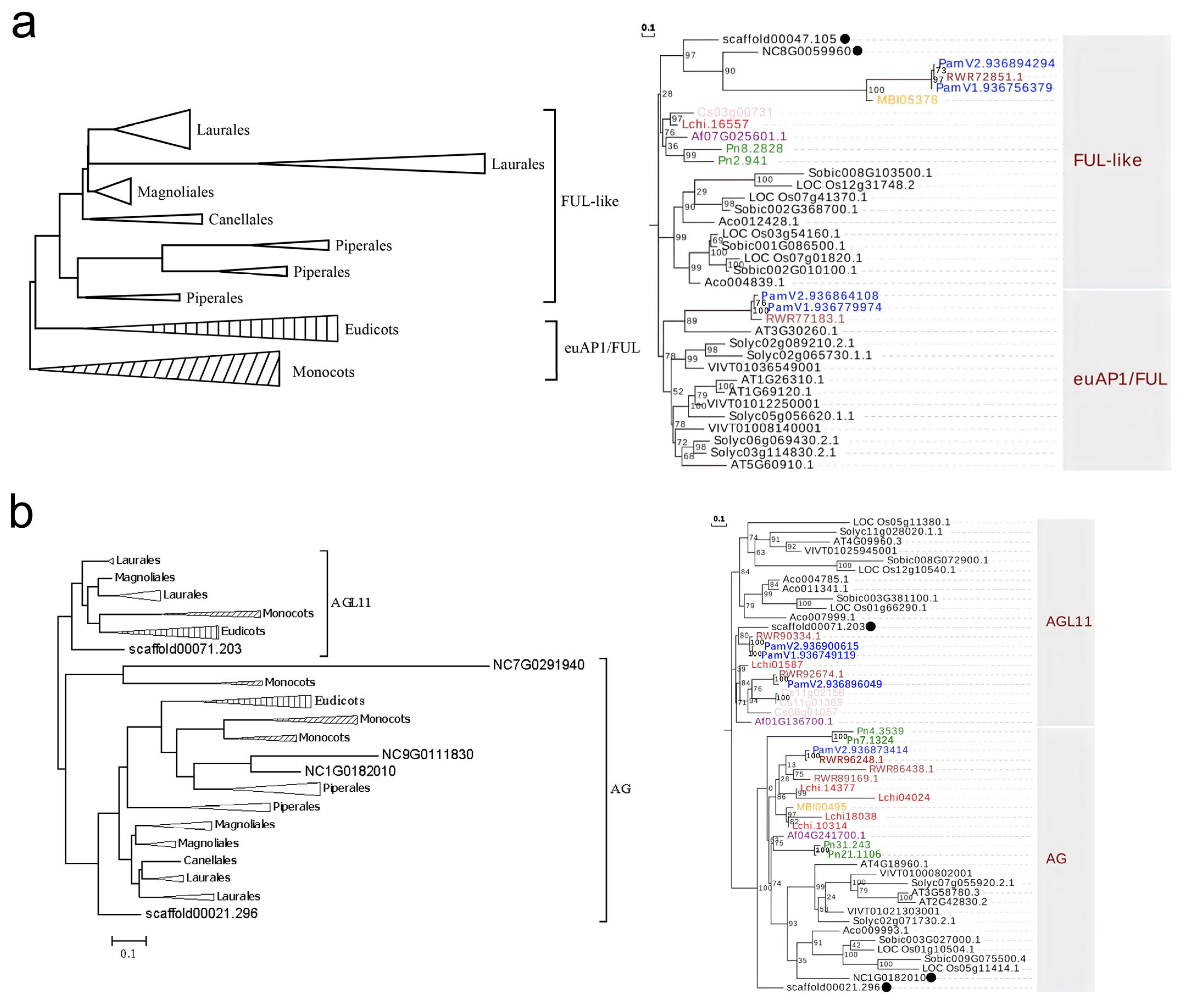 Plants 14 02991 g003 Plants 14 02991 g003