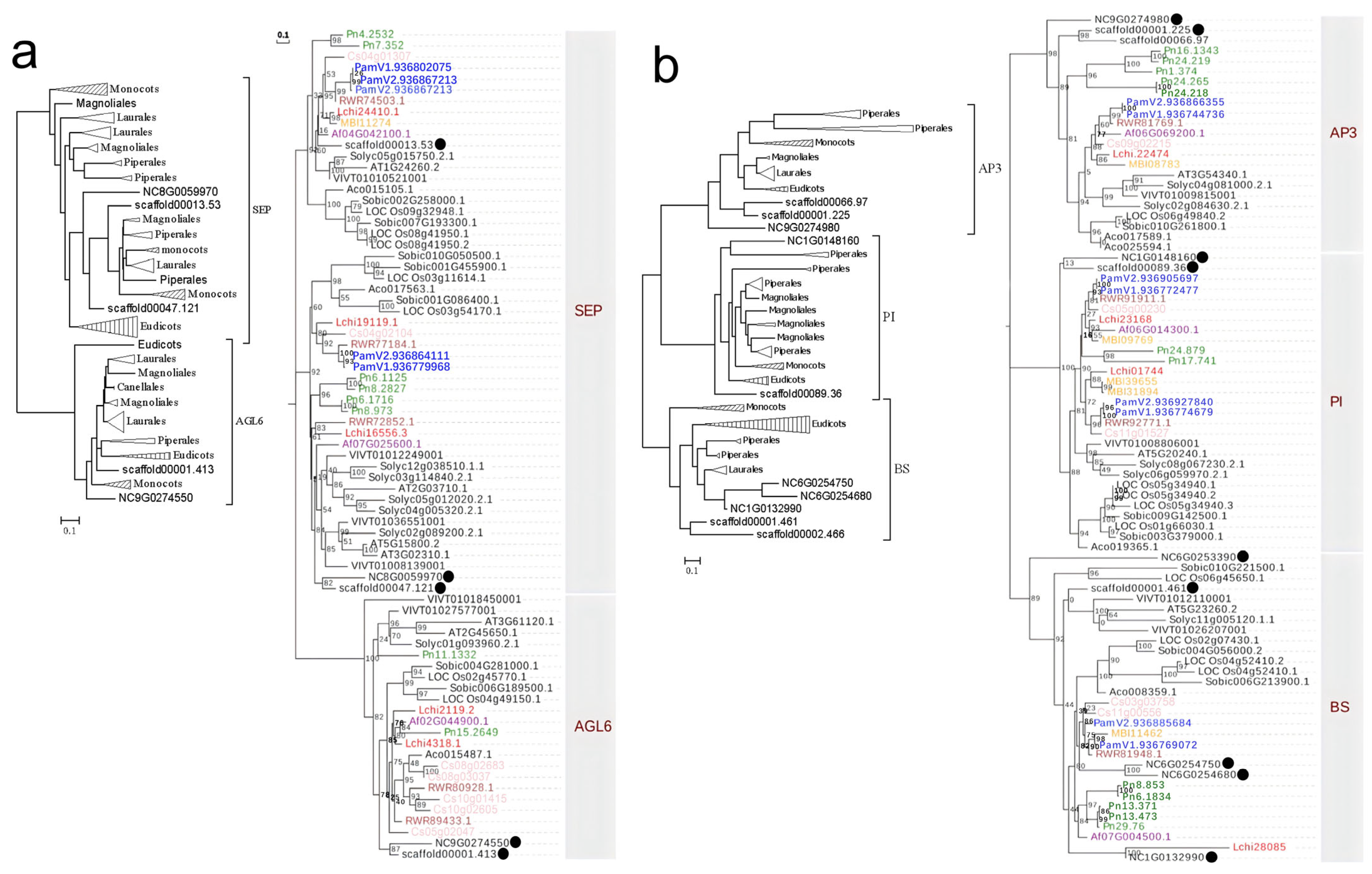 Plants 14 02991 g004 Plants 14 02991 g004