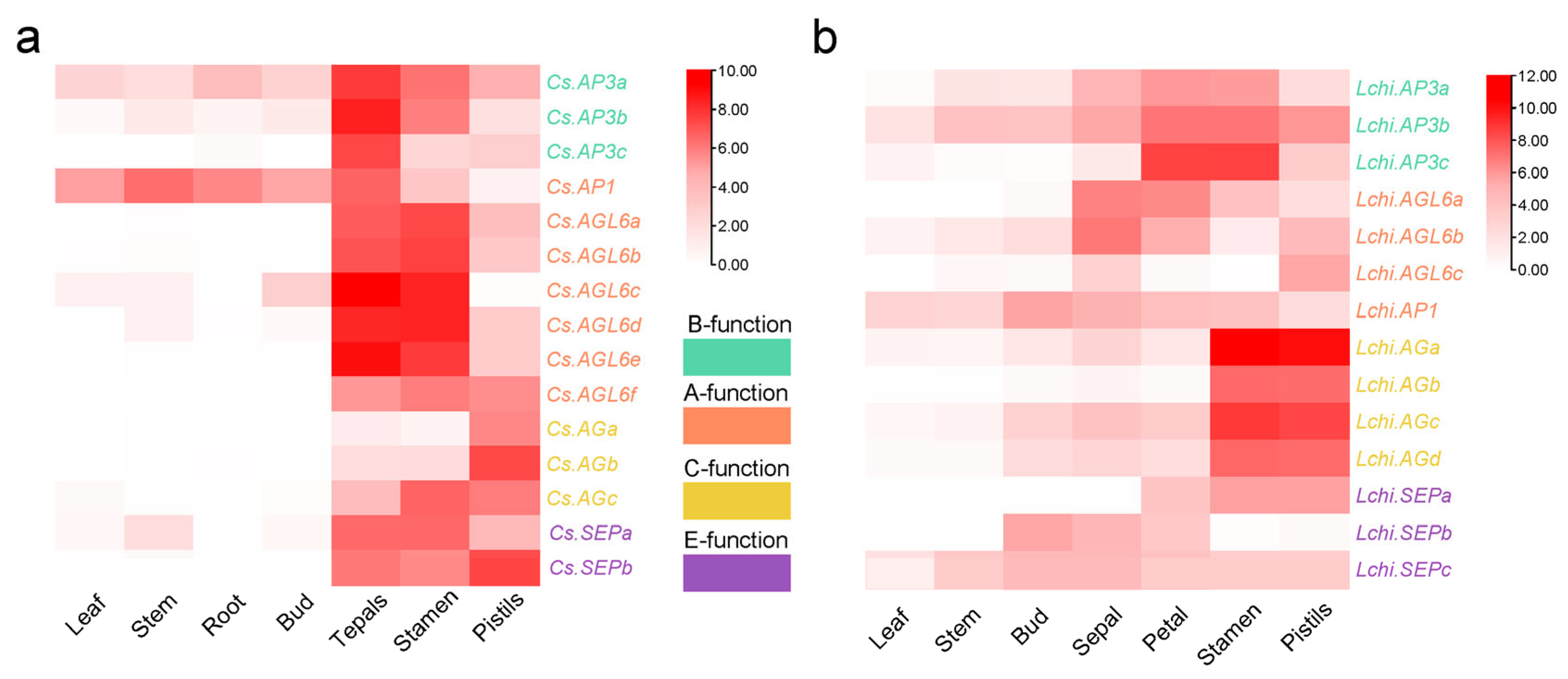 Plants 14 02991 g005 Plants 14 02991 g005
