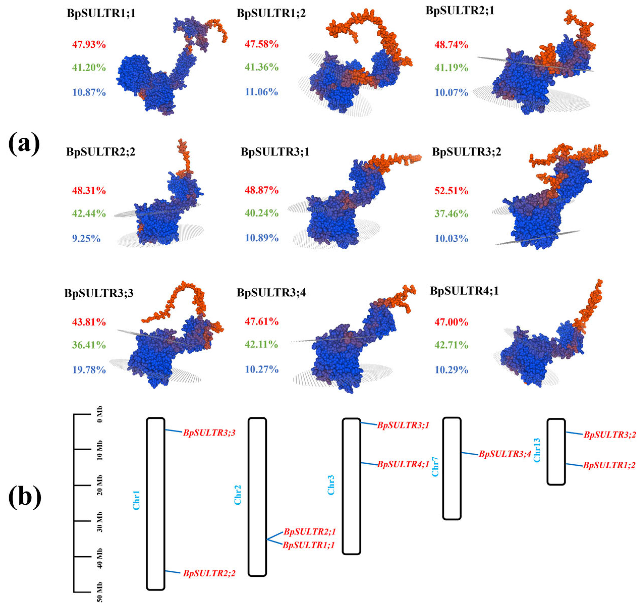 Plants 14 02995 g001 Plants 14 02995 g001