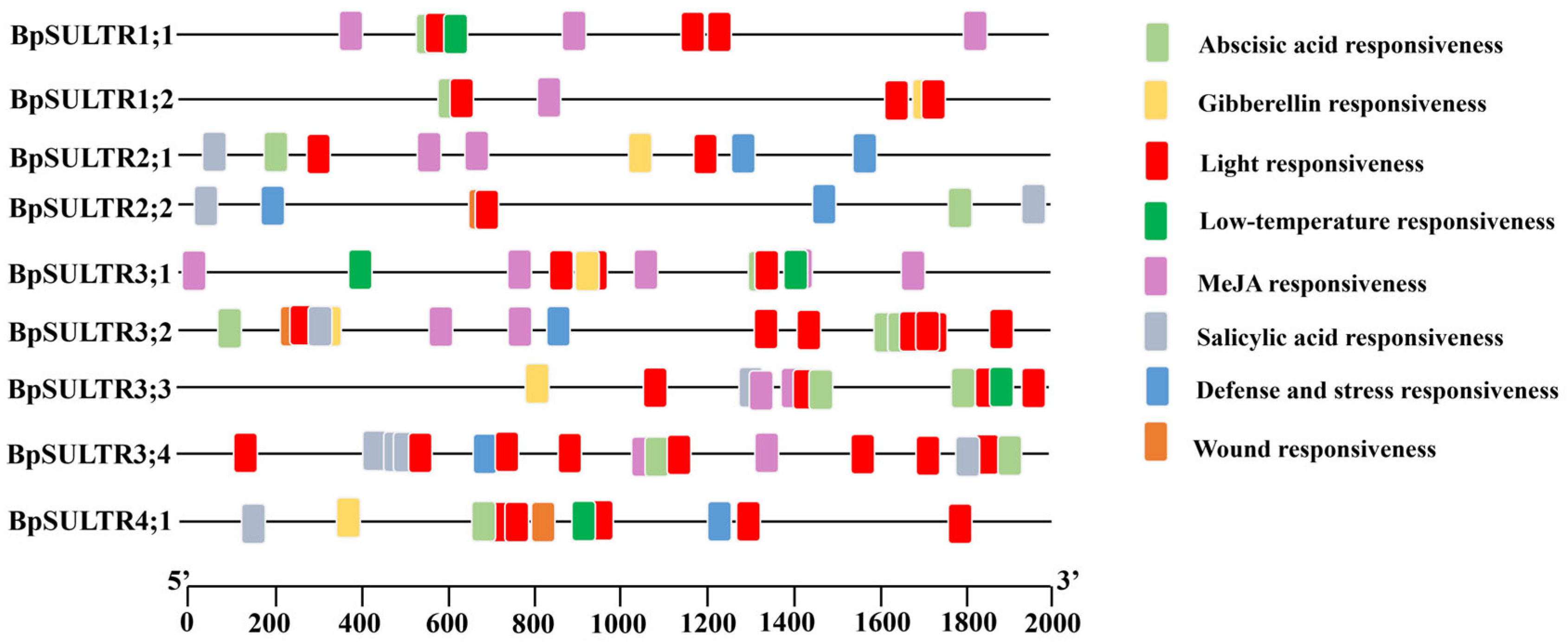 Plants 14 02995 g003 Plants 14 02995 g003