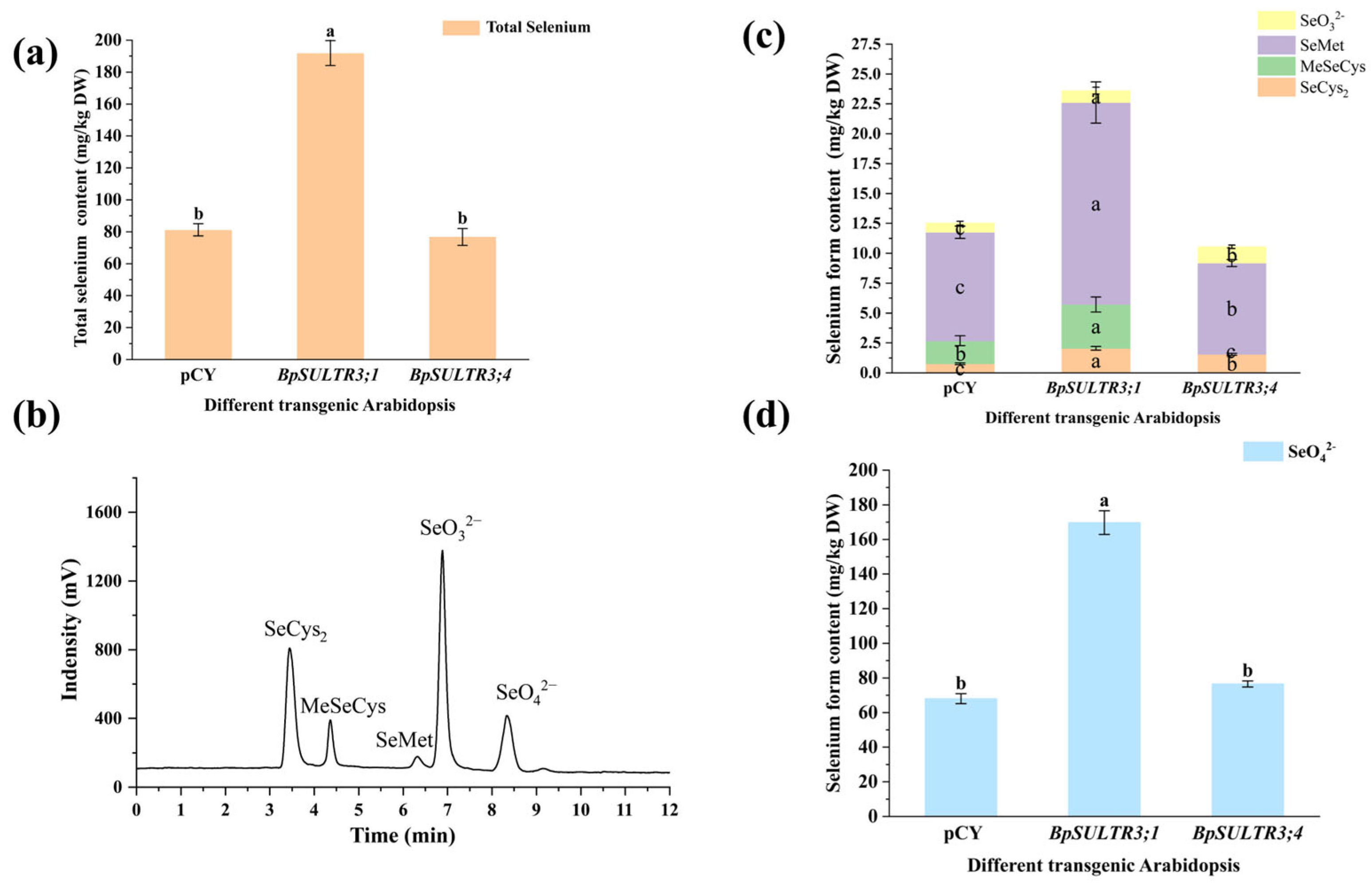 Plants 14 02995 g007 Plants 14 02995 g007