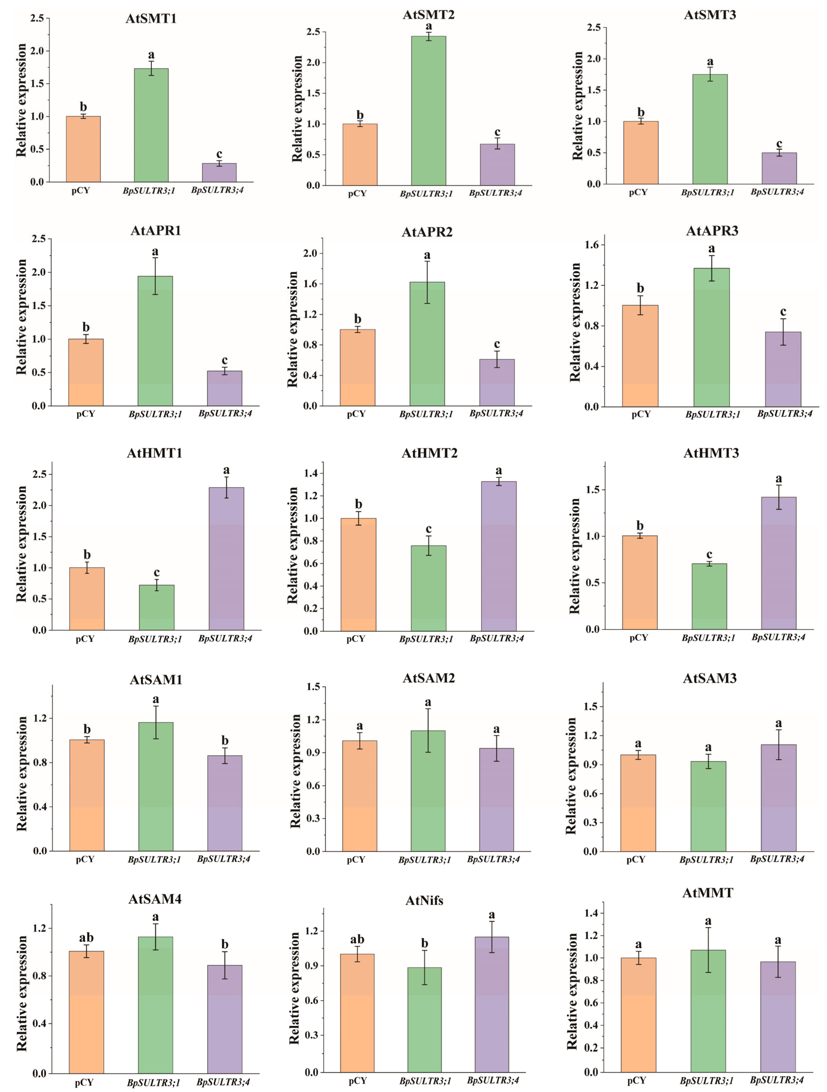 Plants 14 02995 g008 Plants 14 02995 g008