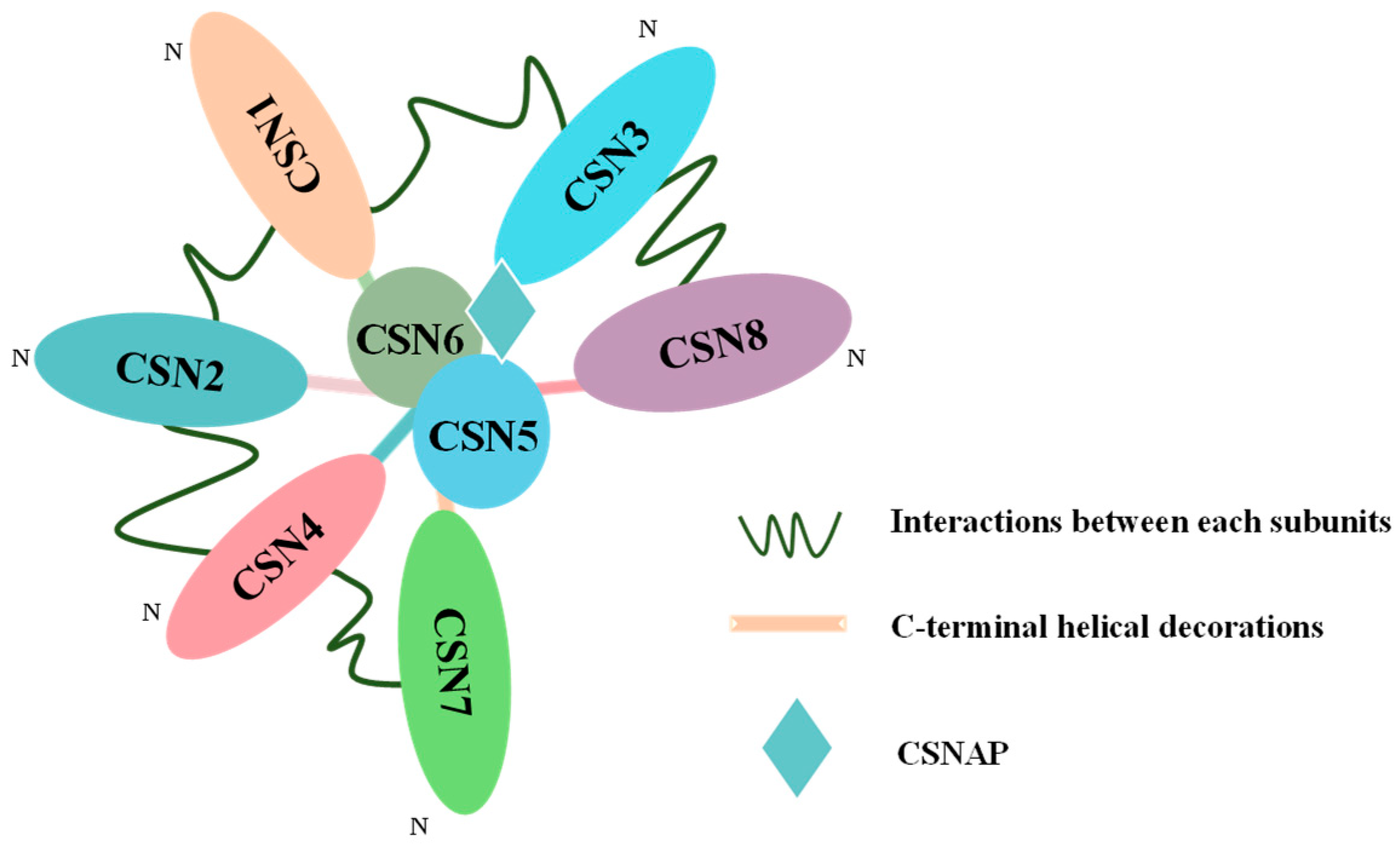 Plants 14 03017 g001 Plants 14 03017 g001