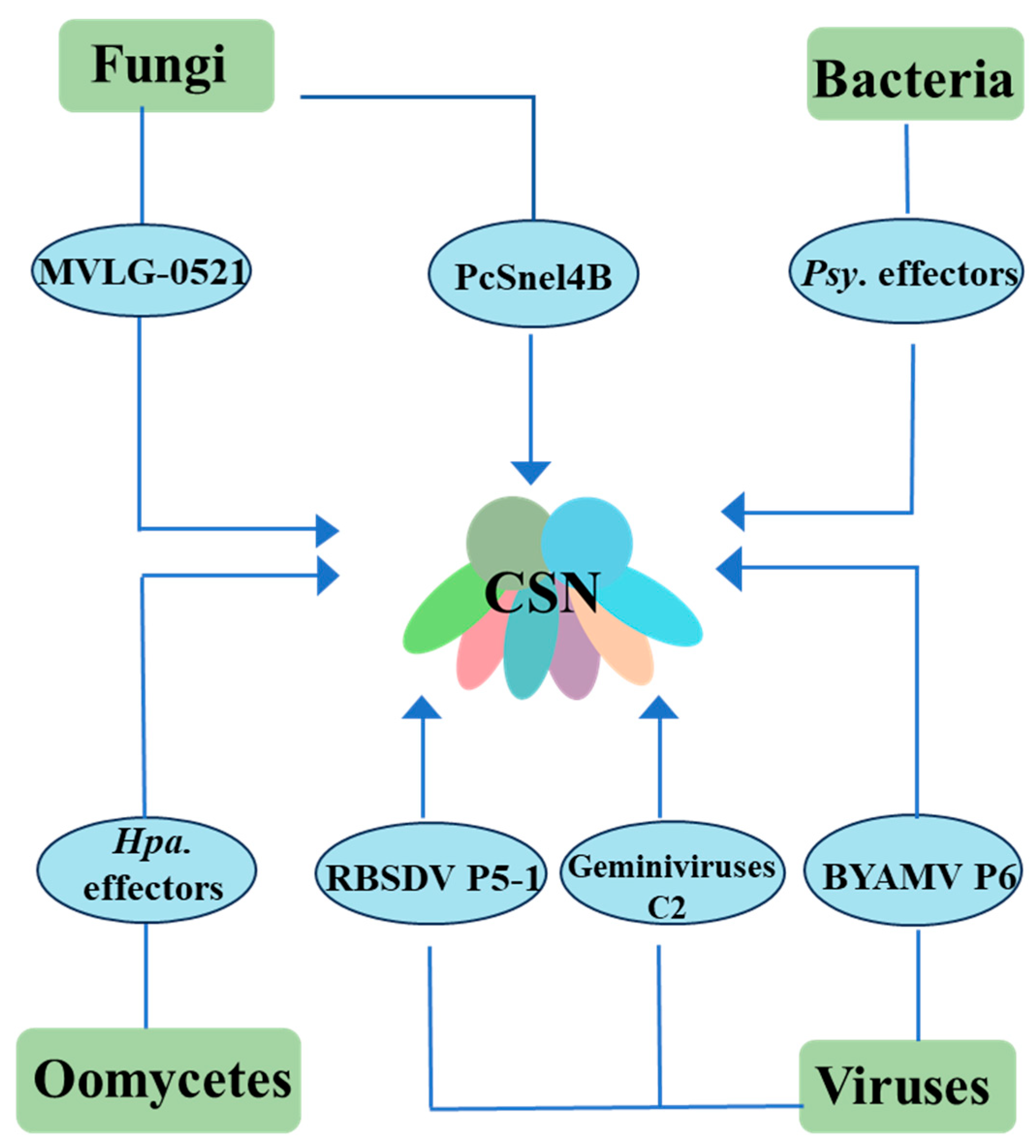 Plants 14 03017 g002 Plants 14 03017 g002