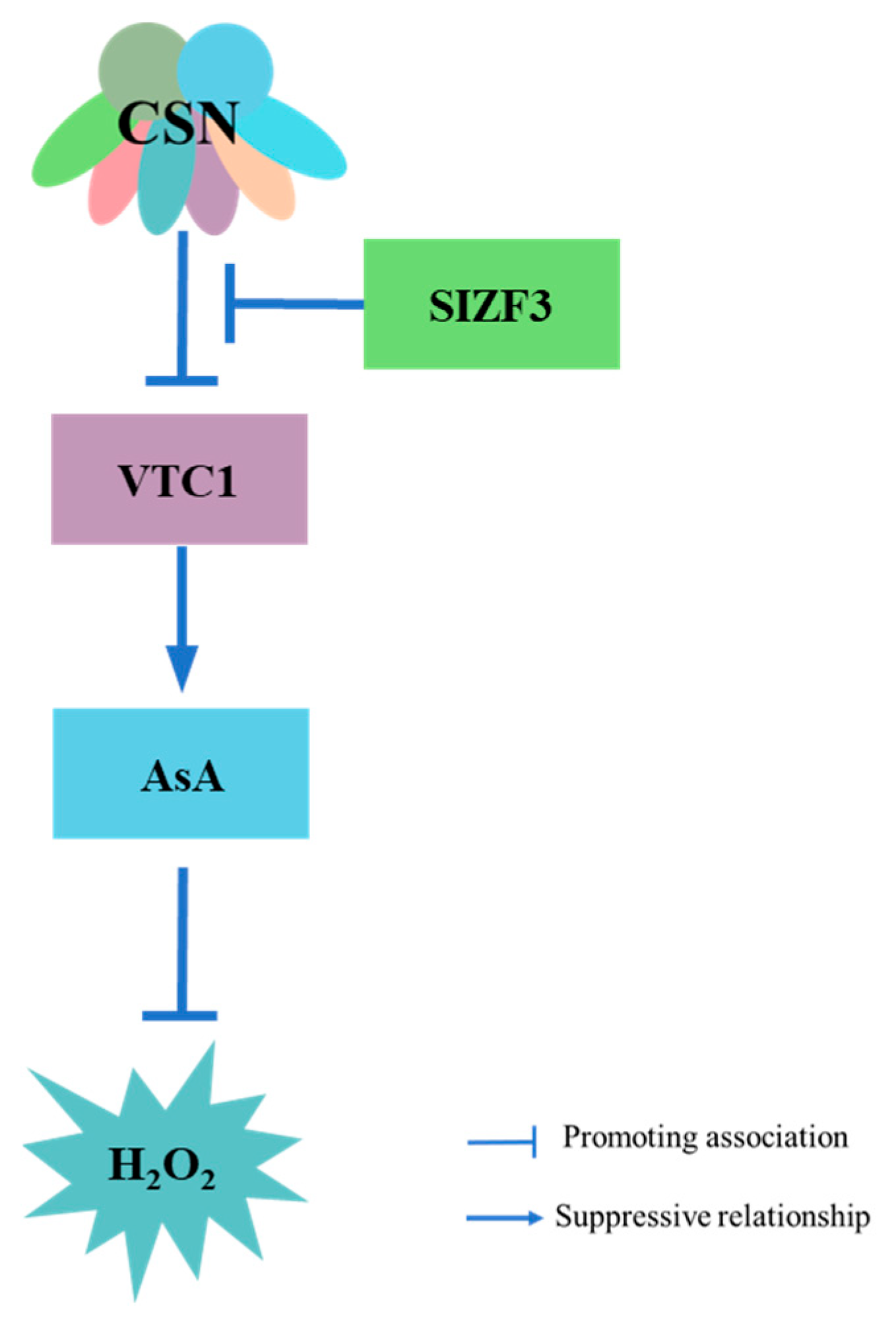 Plants 14 03017 g004 Plants 14 03017 g004