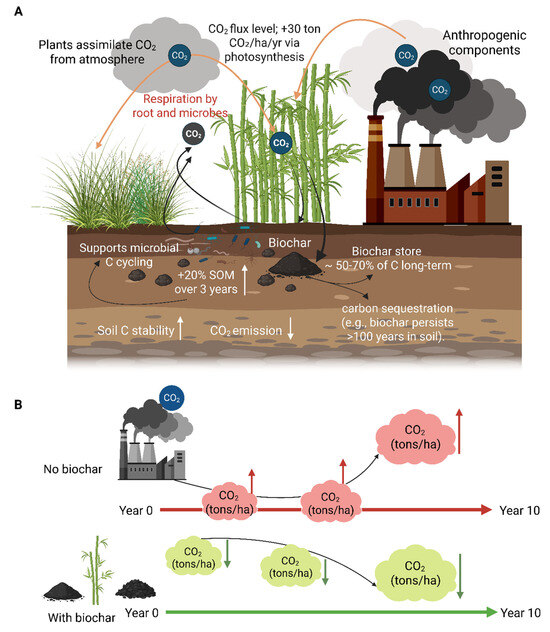 その他 ha 自転車本体 ttotto SUPER73 ZX – super73.jp