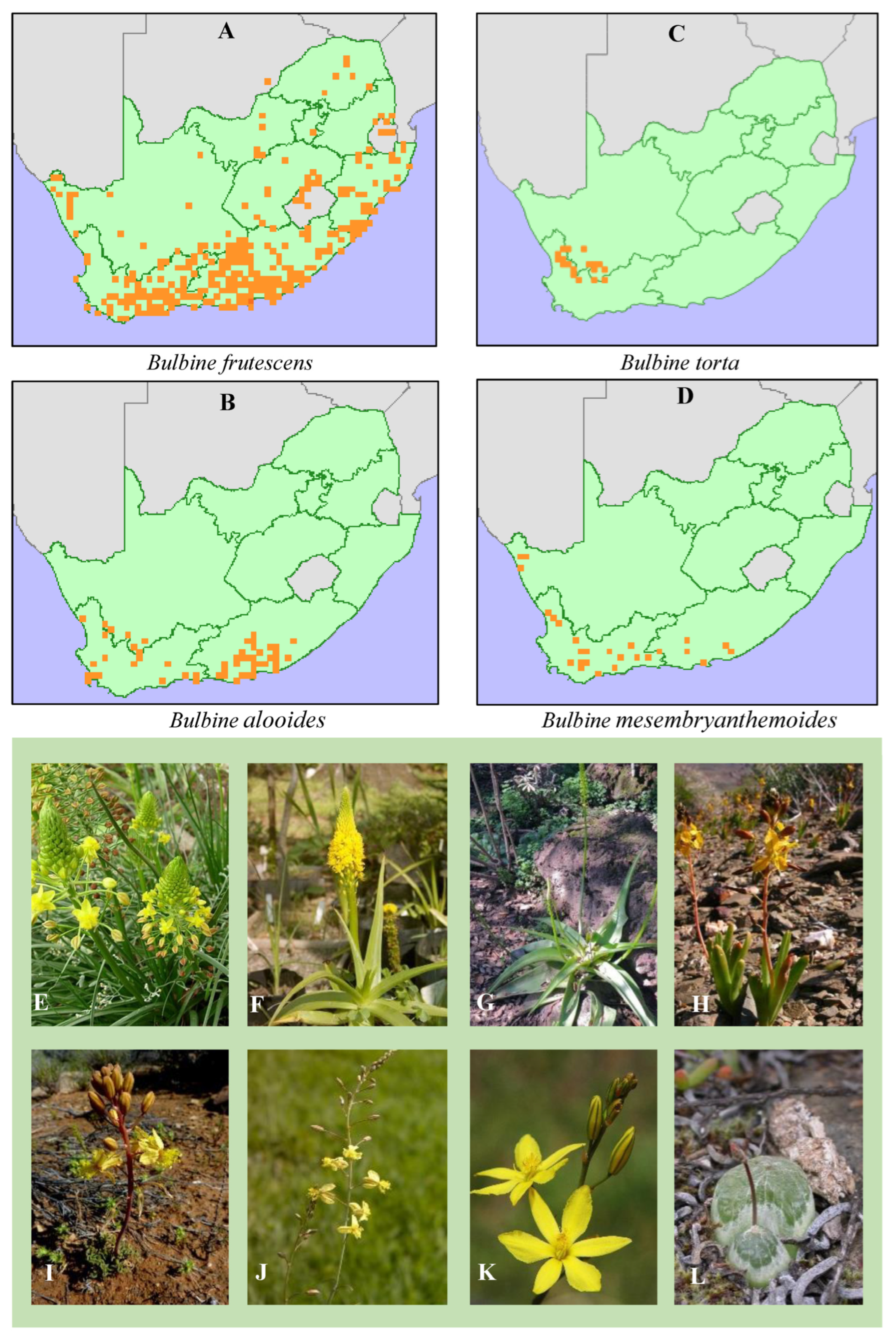 Plants 14 03045 g001 Plants 14 03045 g001