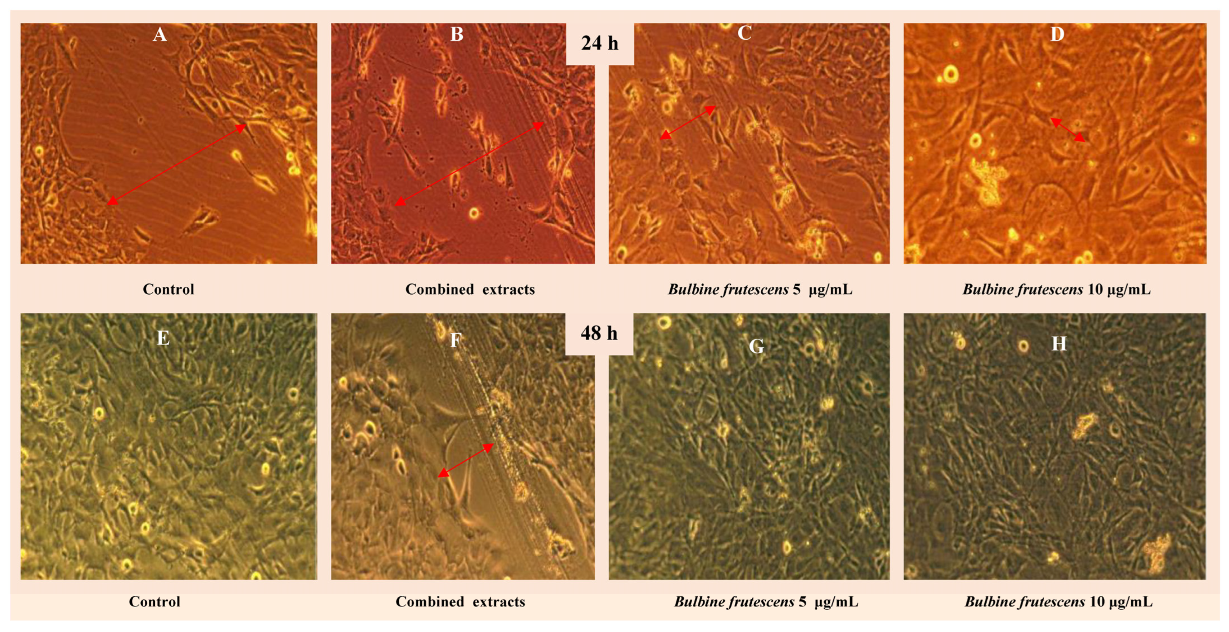 Plants 14 03045 g004 Plants 14 03045 g004