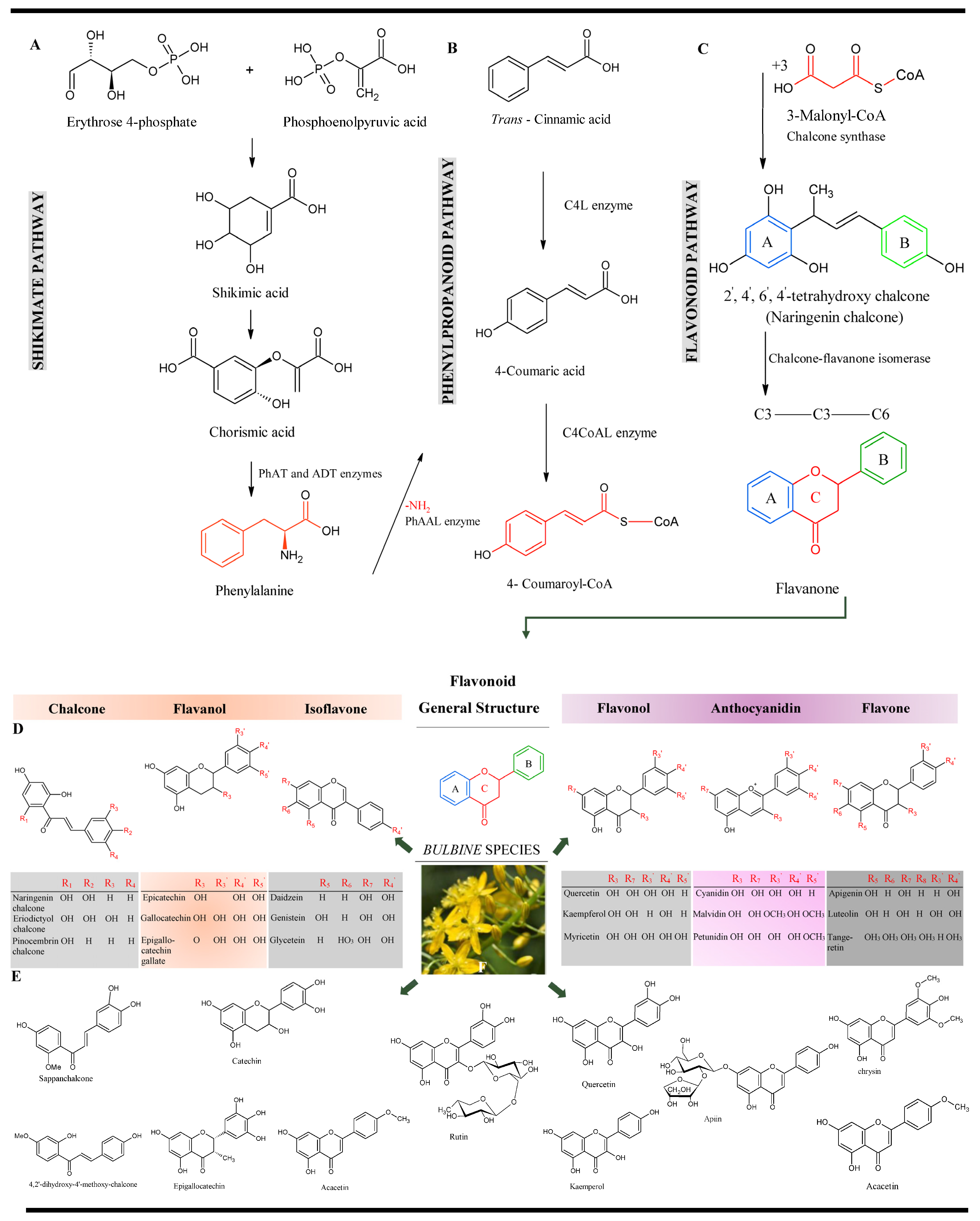 Plants 14 03045 g005 Plants 14 03045 g005