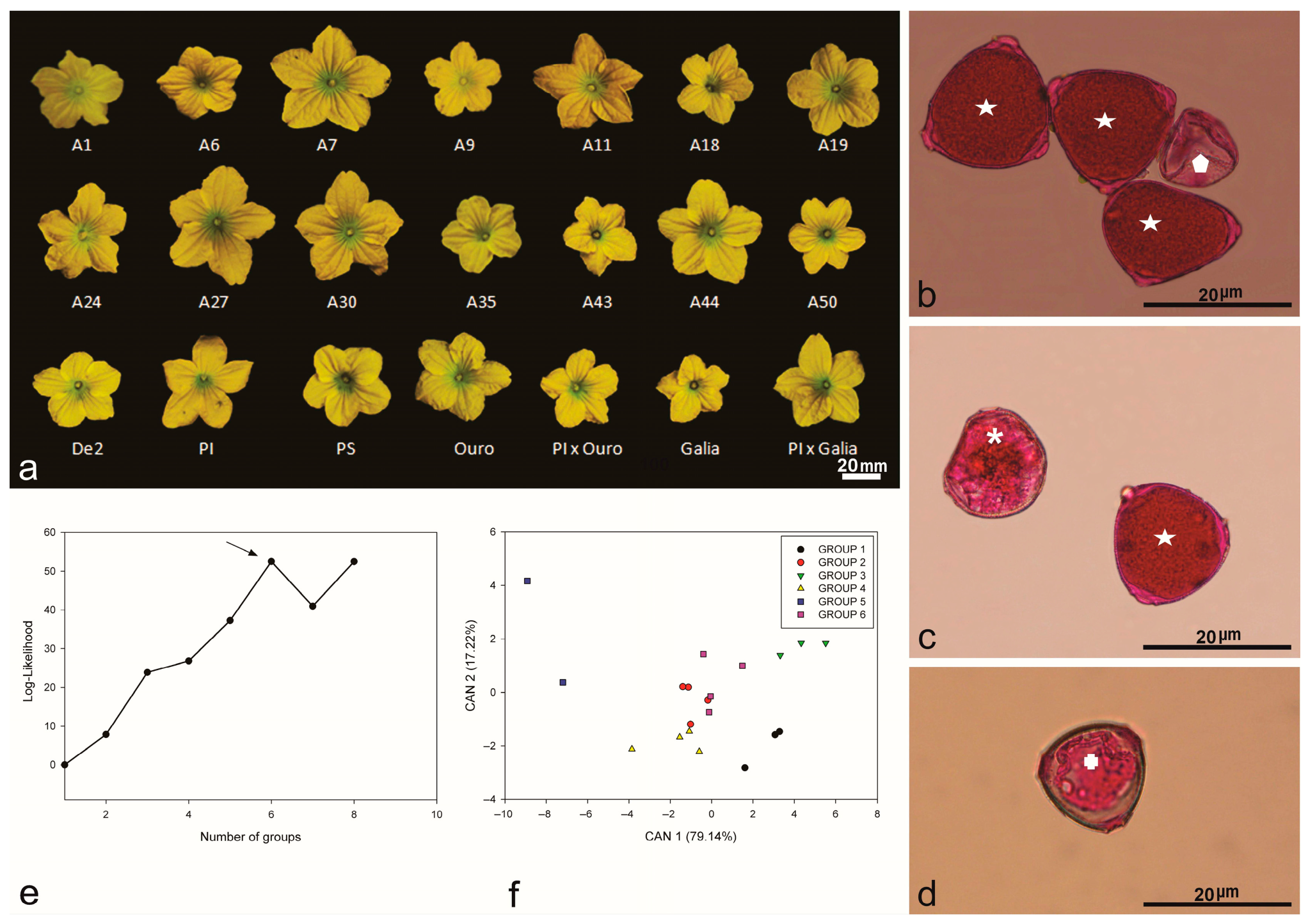 Plants 14 03047 g001 Plants 14 03047 g001