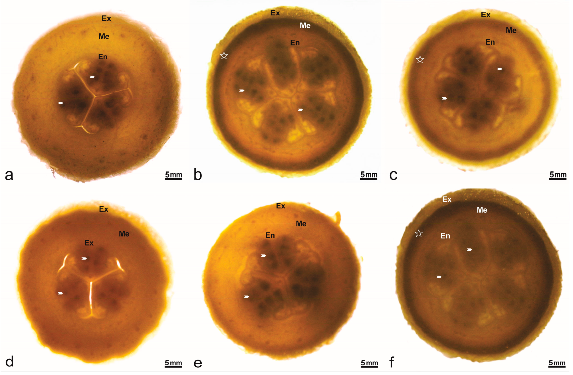 Plants 14 03047 g003 Plants 14 03047 g003