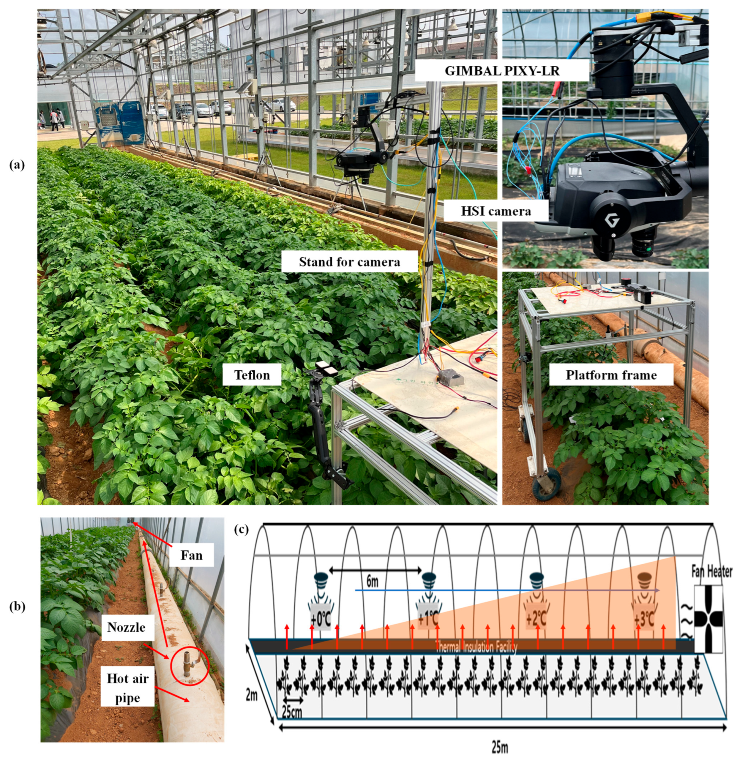 Plants 14 03049 g008