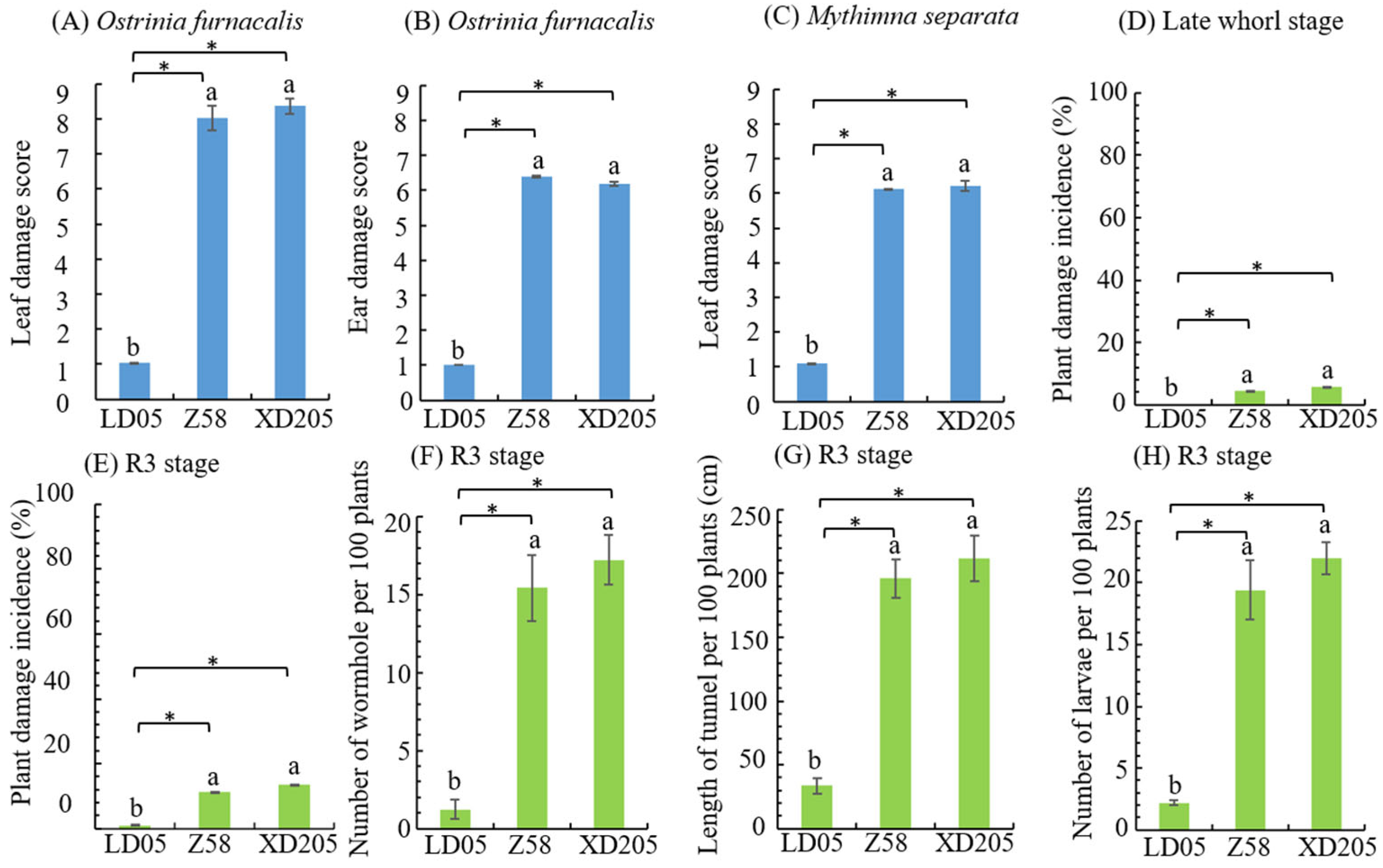 Plants 14 03051 g002 Plants 14 03051 g002