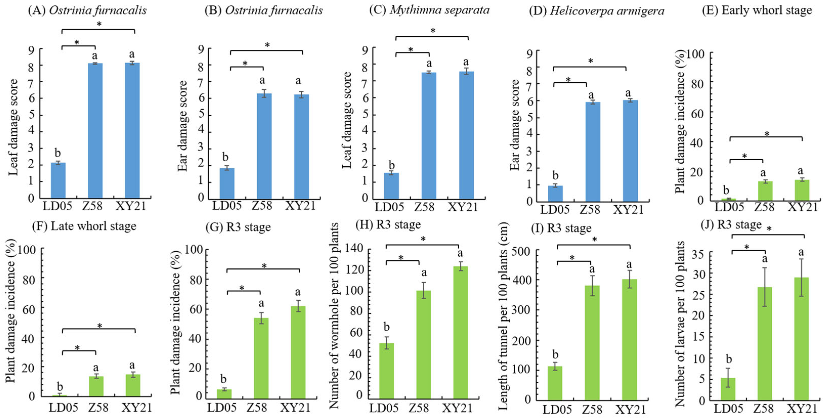 Plants 14 03051 g003 Plants 14 03051 g003