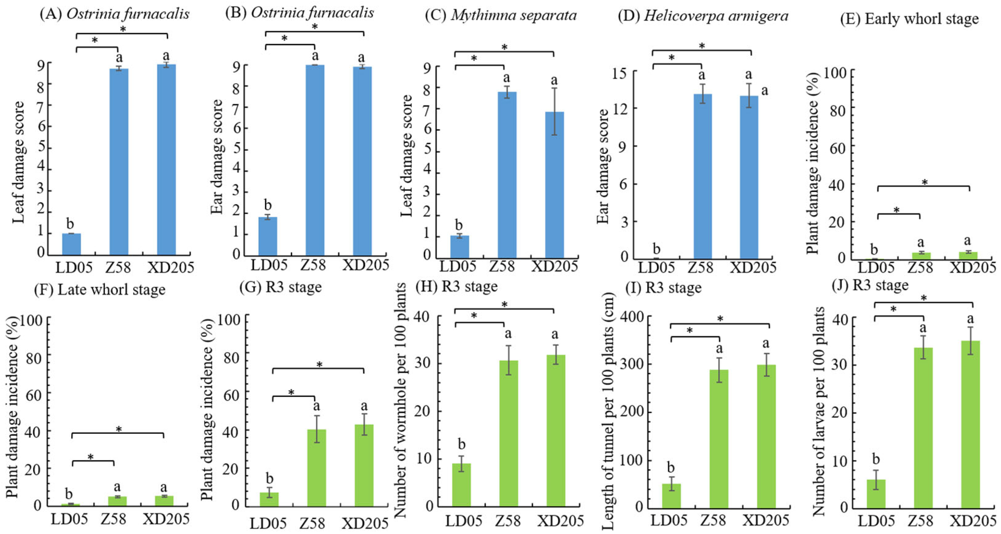 Plants 14 03051 g004 Plants 14 03051 g004