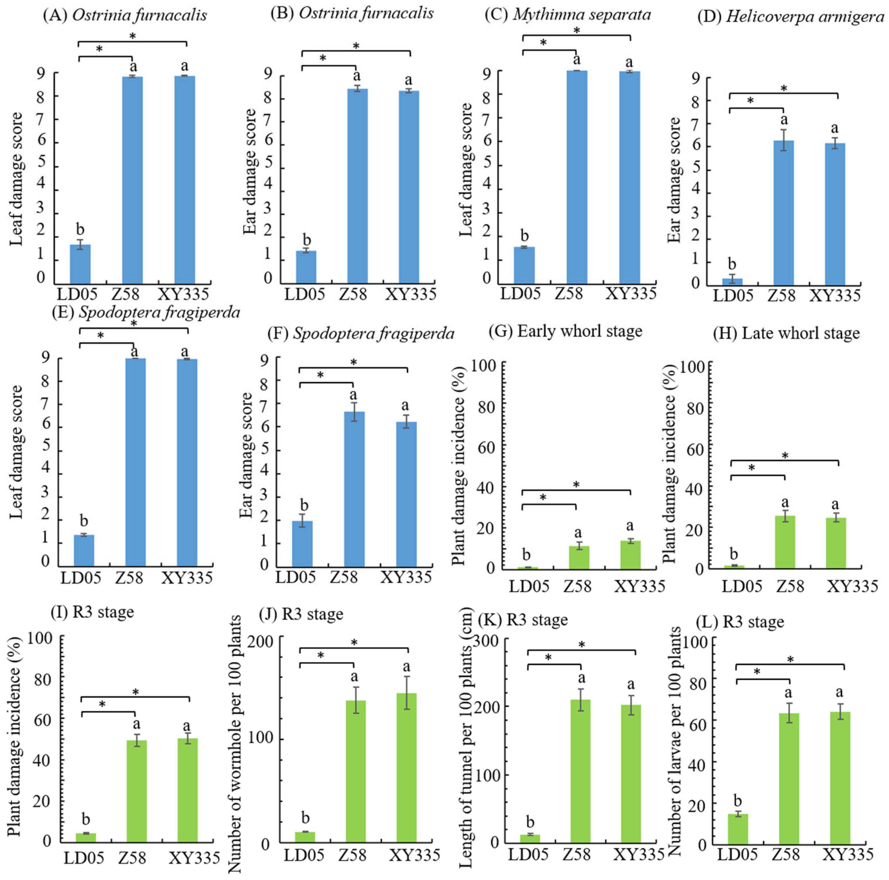 Plants 14 03051 g006 Plants 14 03051 g006