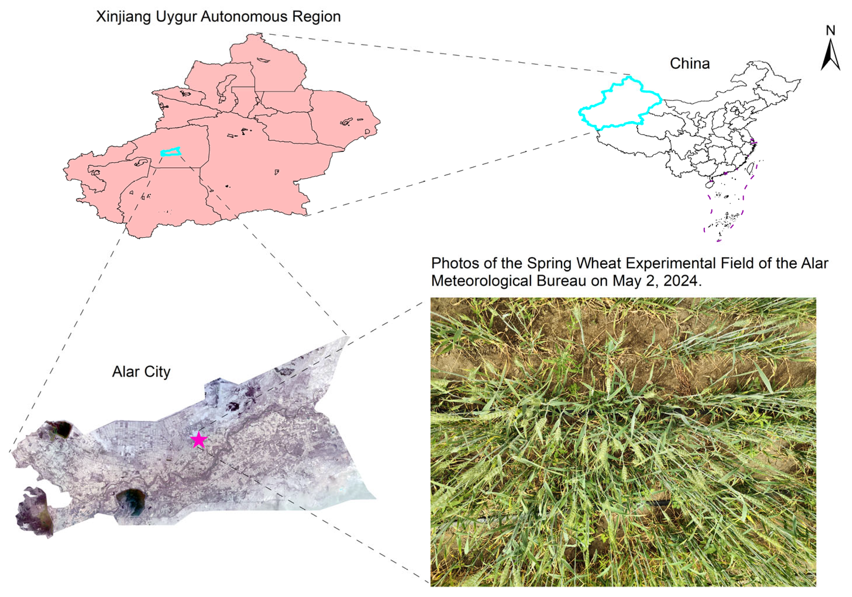 Plants 14 03058 g002