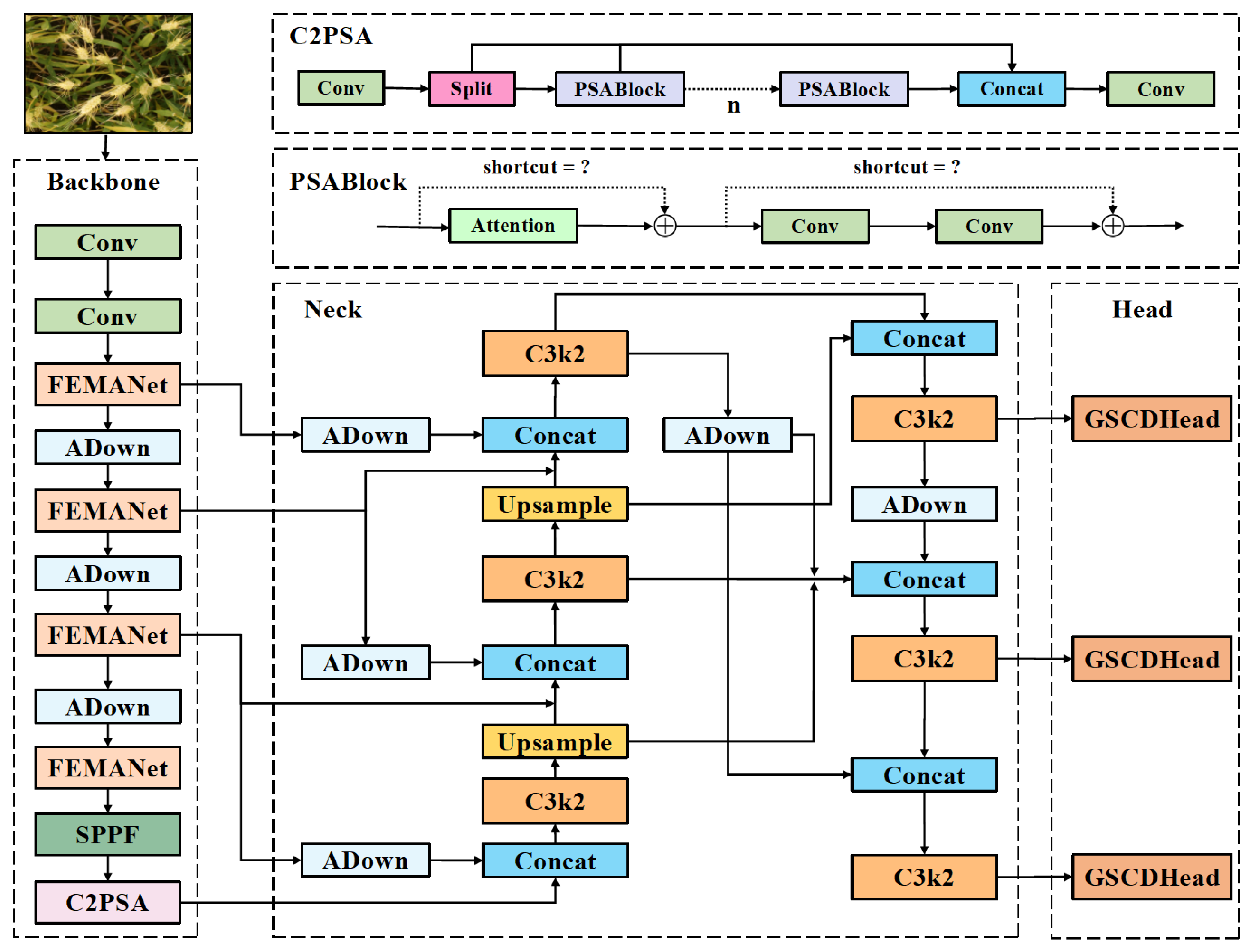 Plants 14 03058 g004