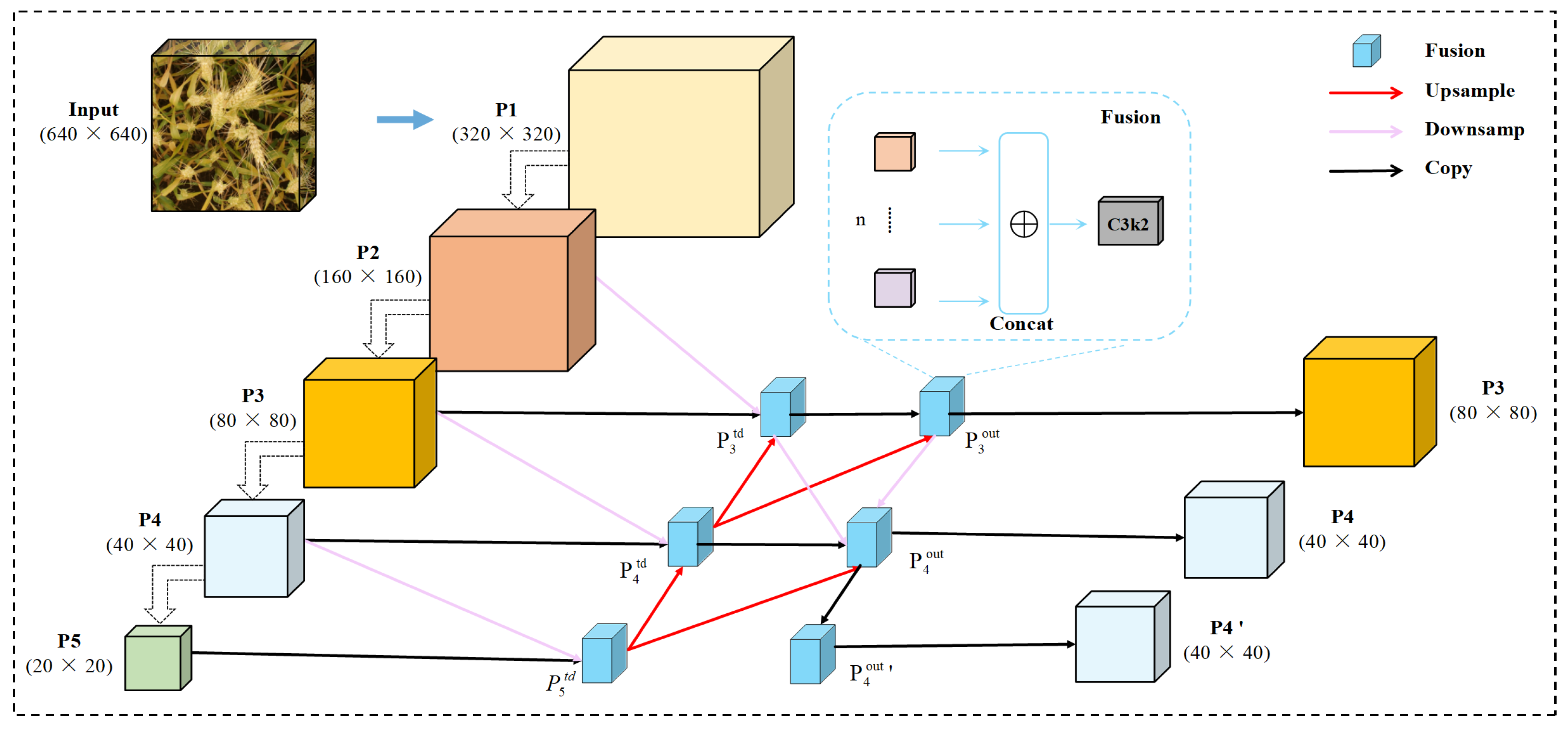 Plants 14 03058 g006