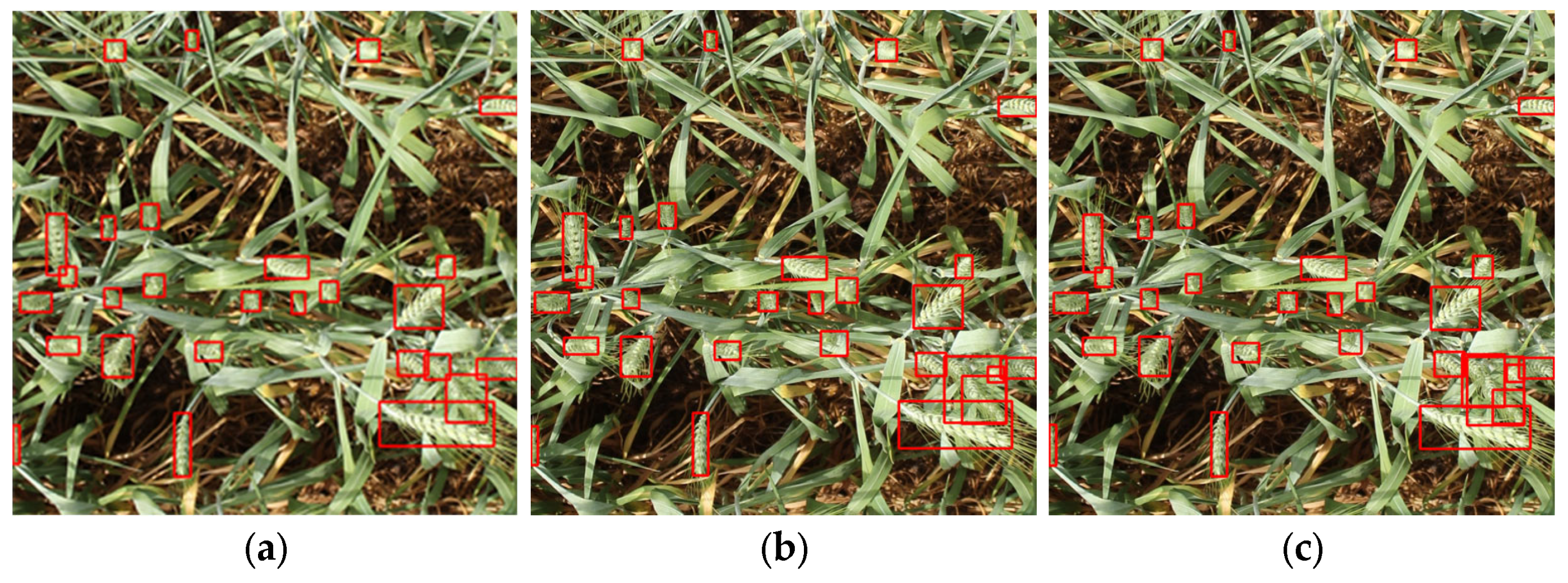 Plants 14 03058 g010a