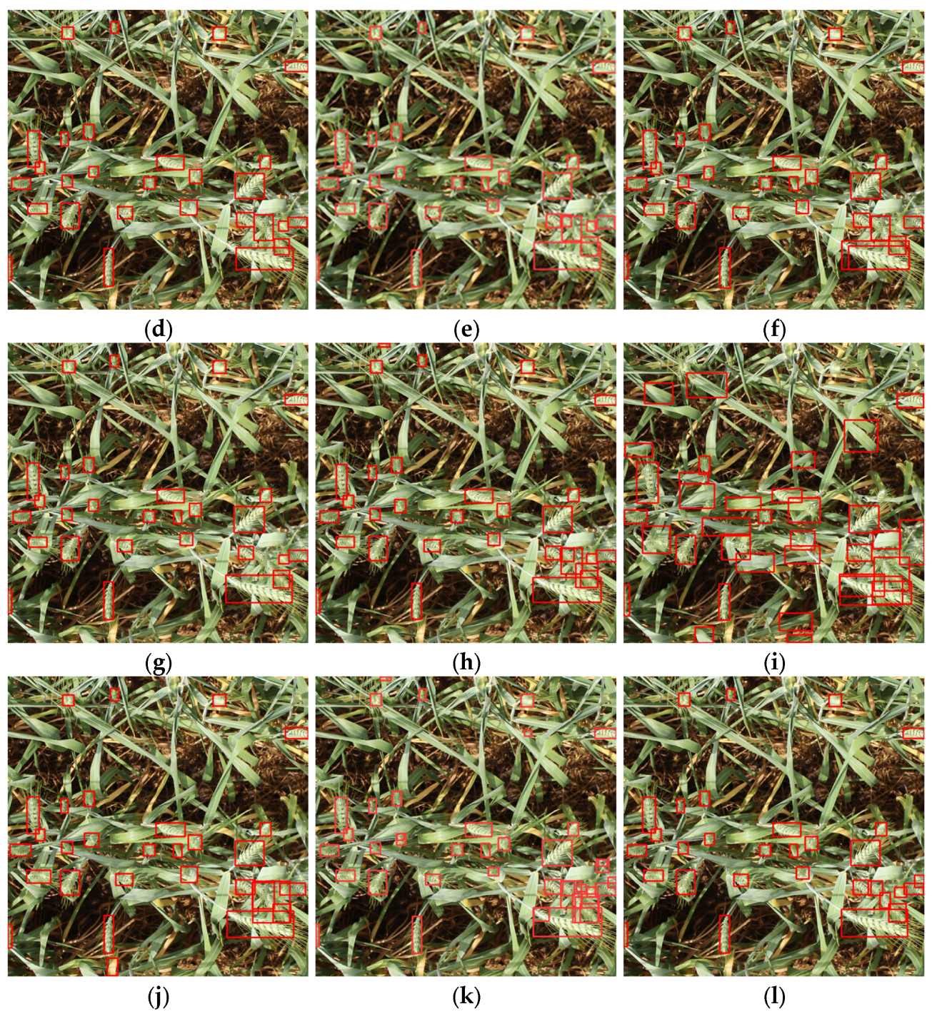 Plants 14 03058 g010b