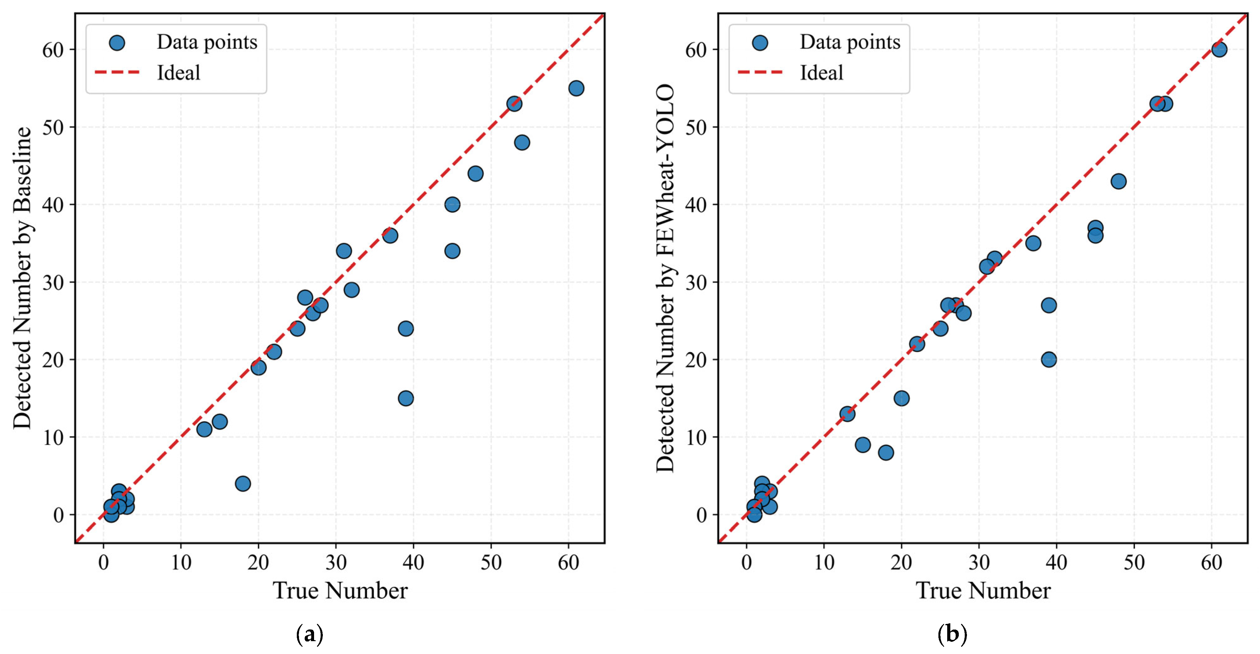 Plants 14 03058 g011
