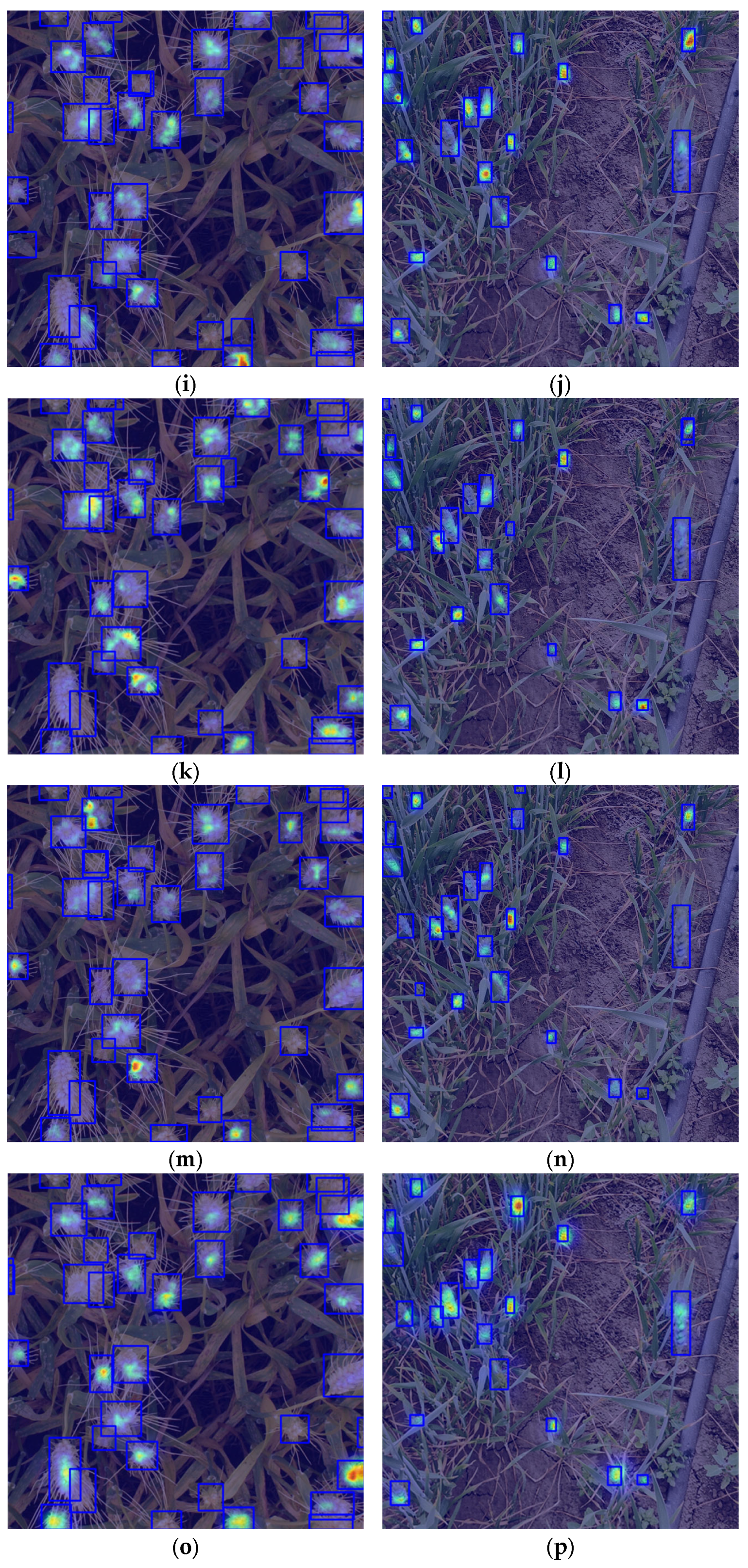 Plants 14 03058 g012b