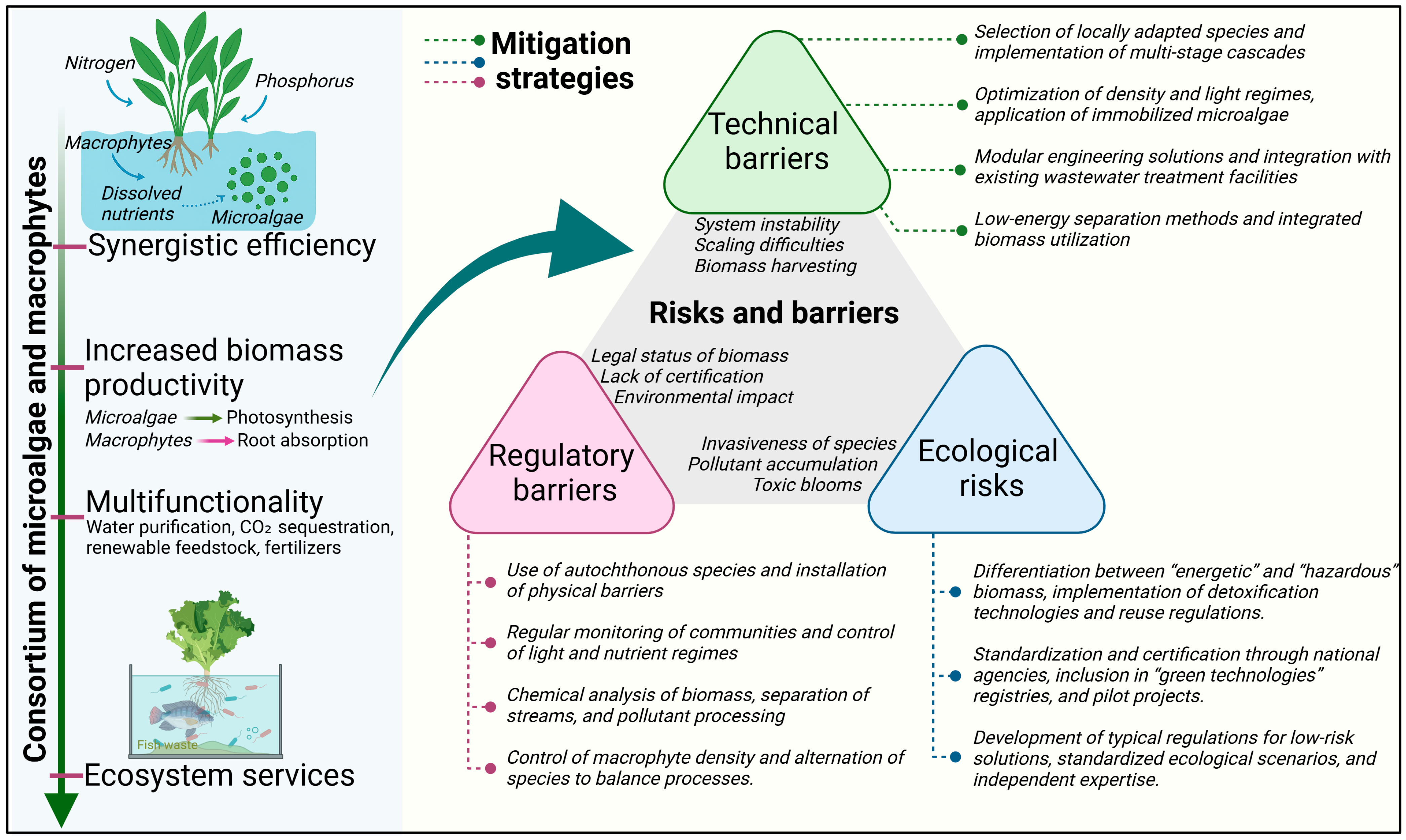 Plants 14 03069 g002