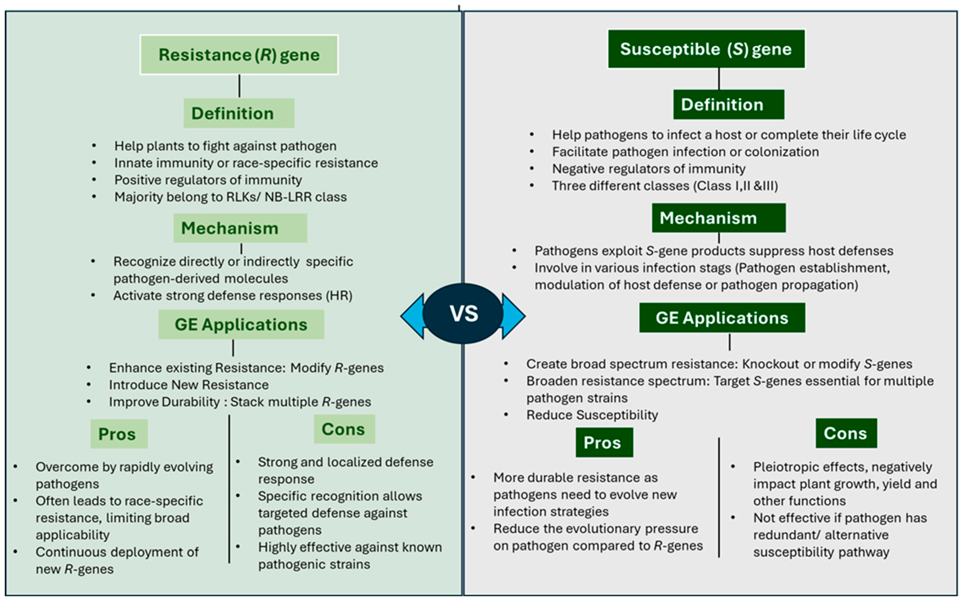 Plants 14 03080 g002 Plants 14 03080 g002