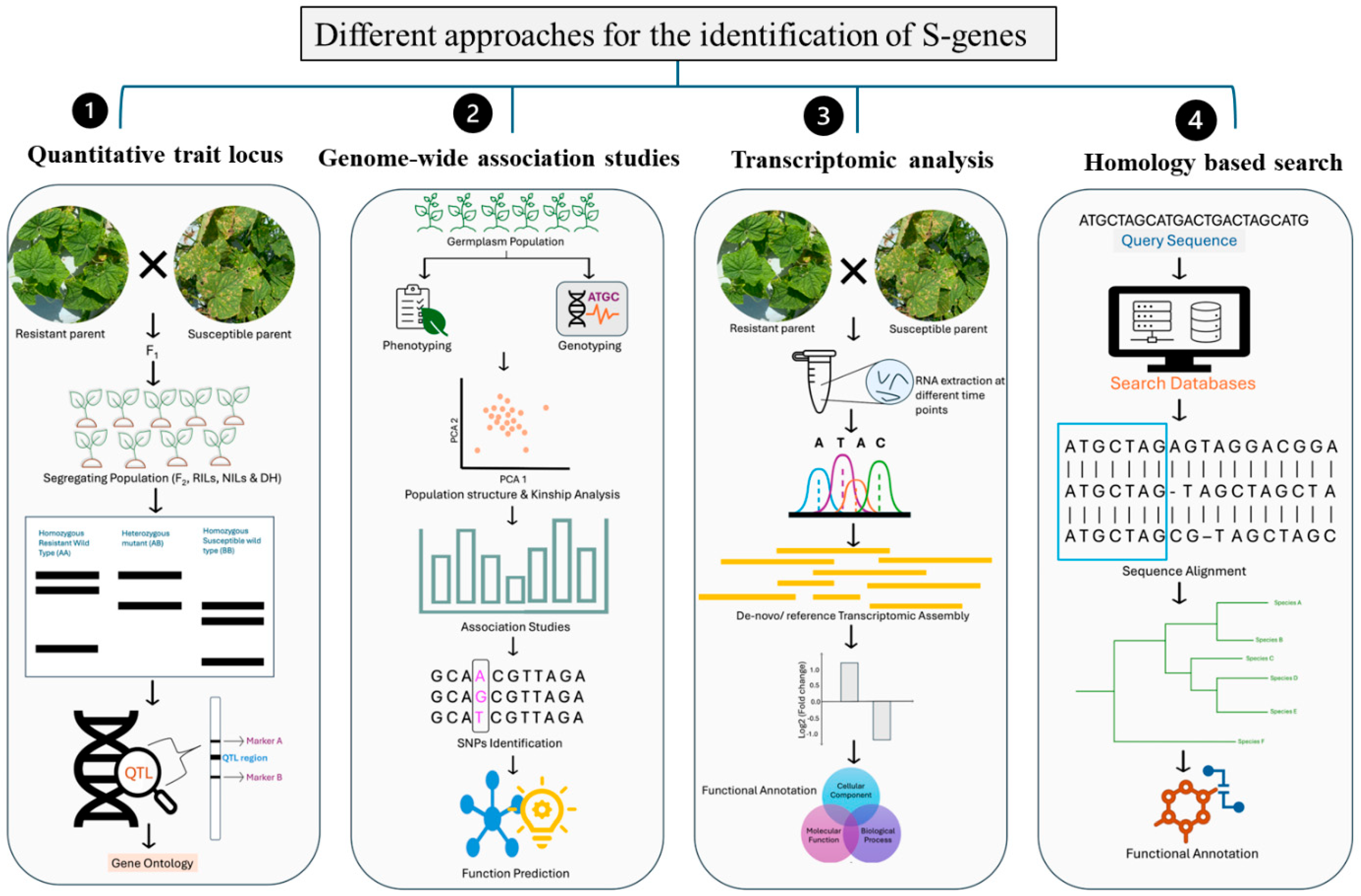 Plants 14 03080 g003 Plants 14 03080 g003