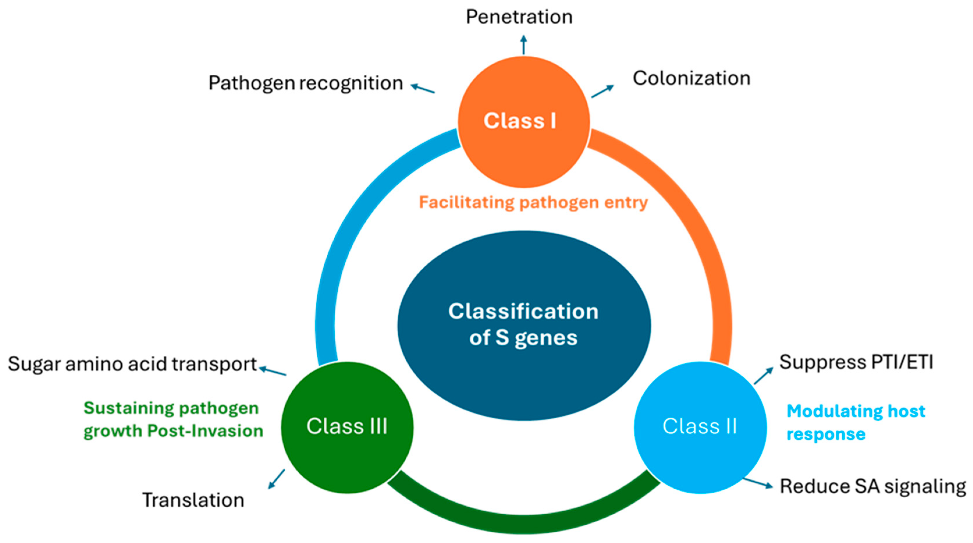 Plants 14 03080 g004 Plants 14 03080 g004