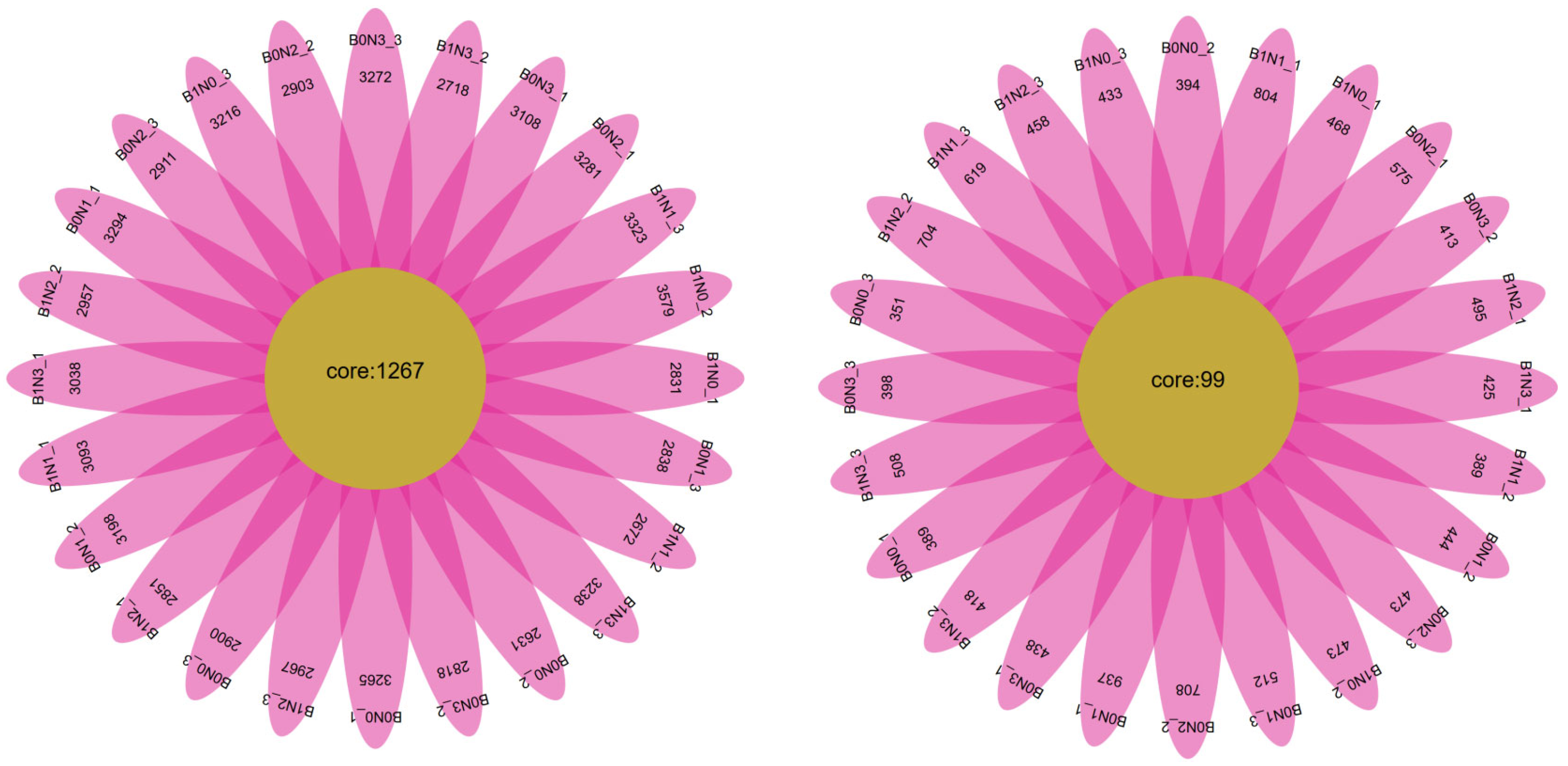 Plants 14 03082 g001 Plants 14 03082 g001