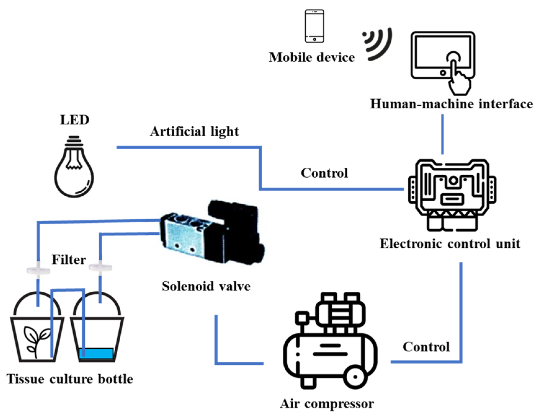Plants 14 03083 g008 Plants 14 03083 g008