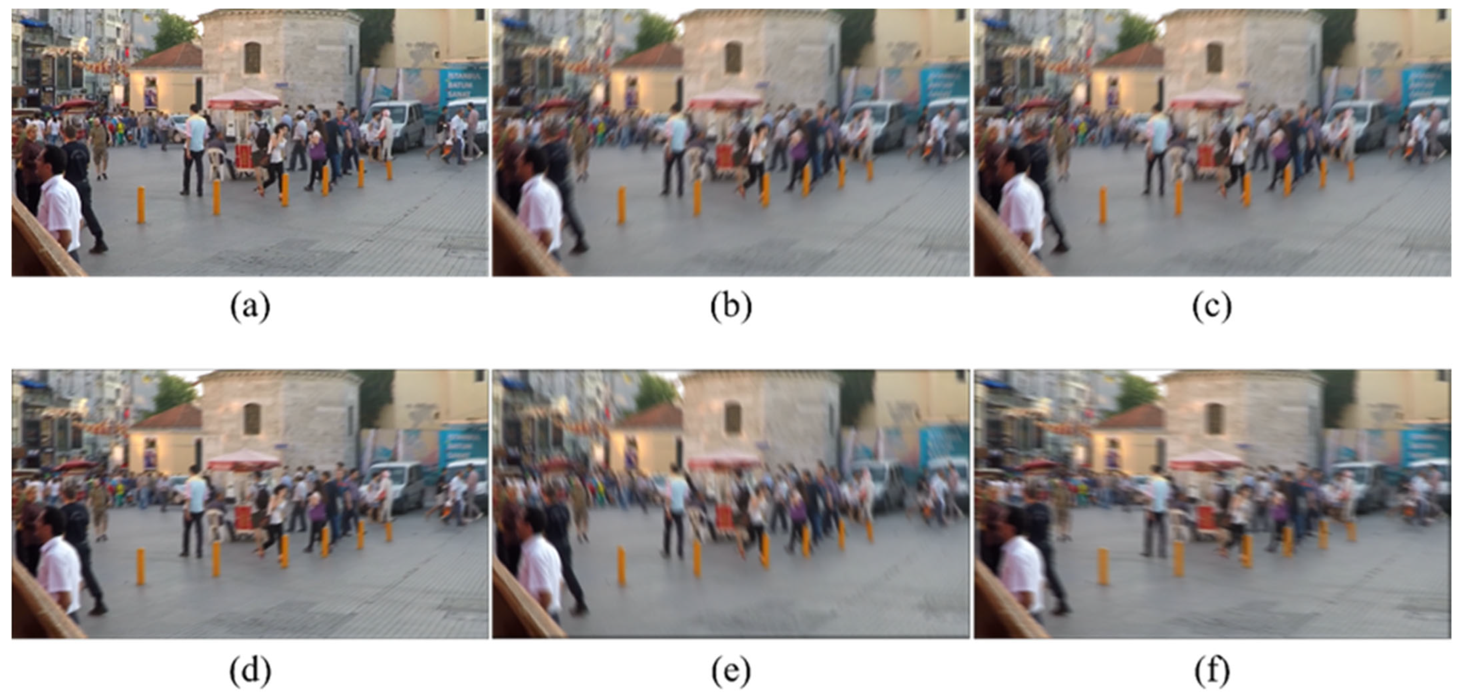 Plants 14 03085 g001 Plants 14 03085 g001