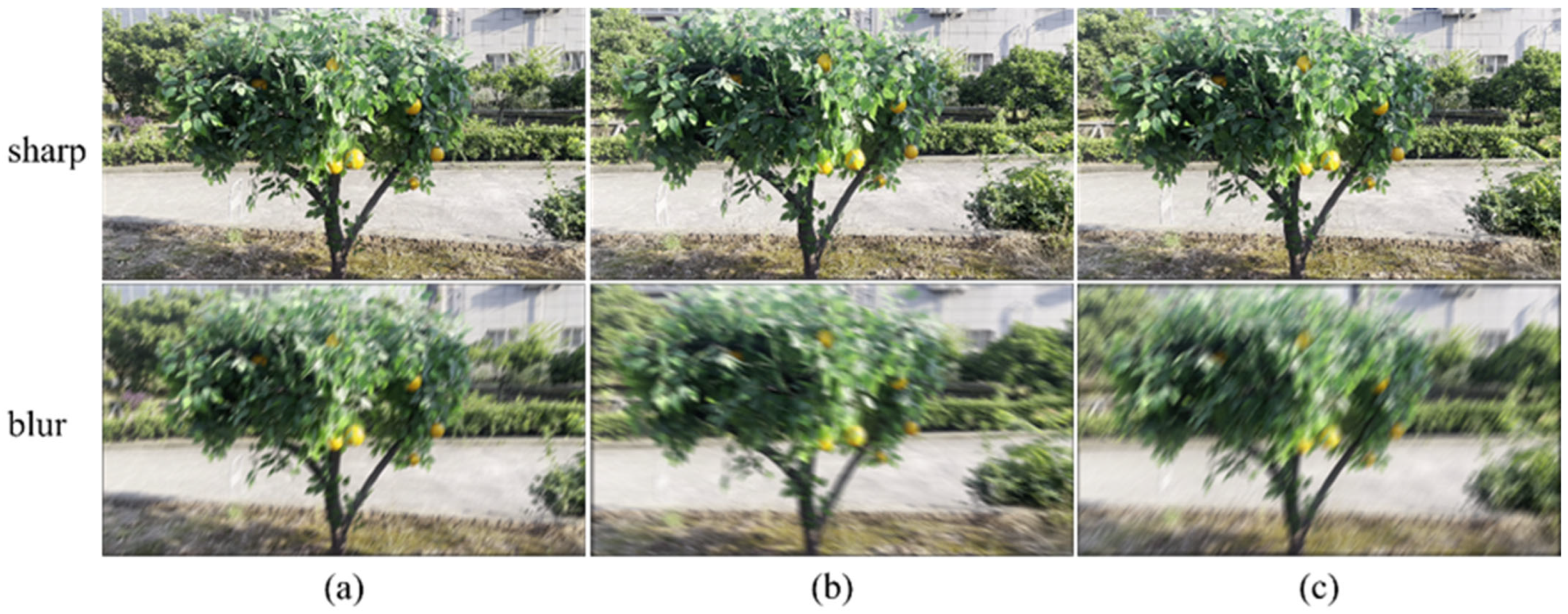 Plants 14 03085 g002 Plants 14 03085 g002