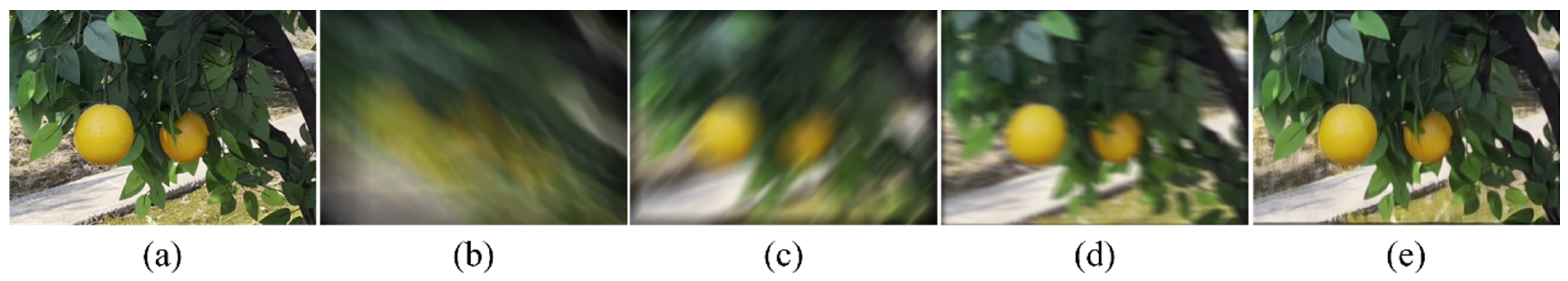 Plants 14 03085 g005 Plants 14 03085 g005