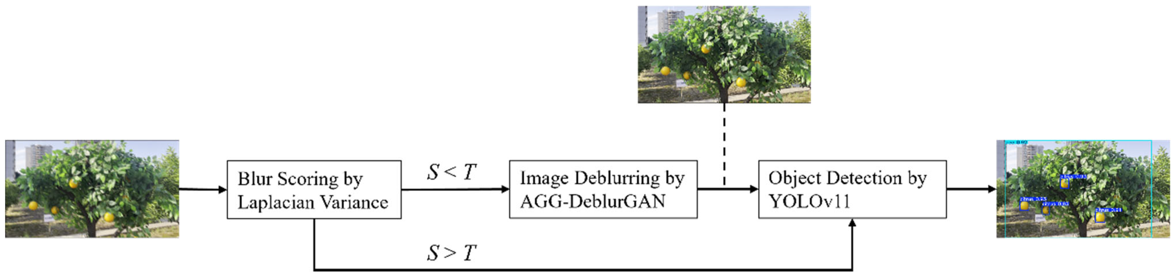 Plants 14 03085 g006 Plants 14 03085 g006