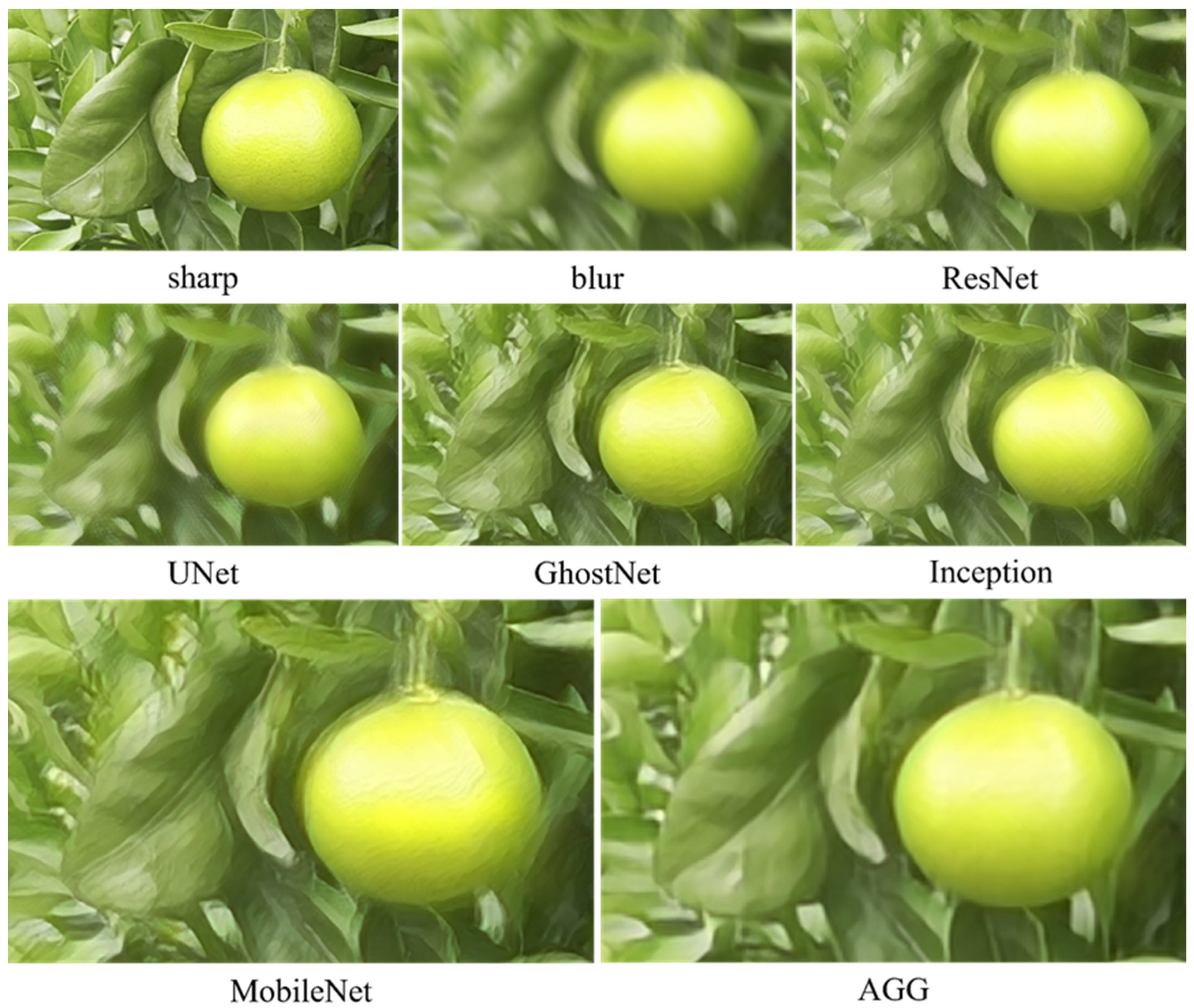 Plants 14 03085 g009 Plants 14 03085 g009