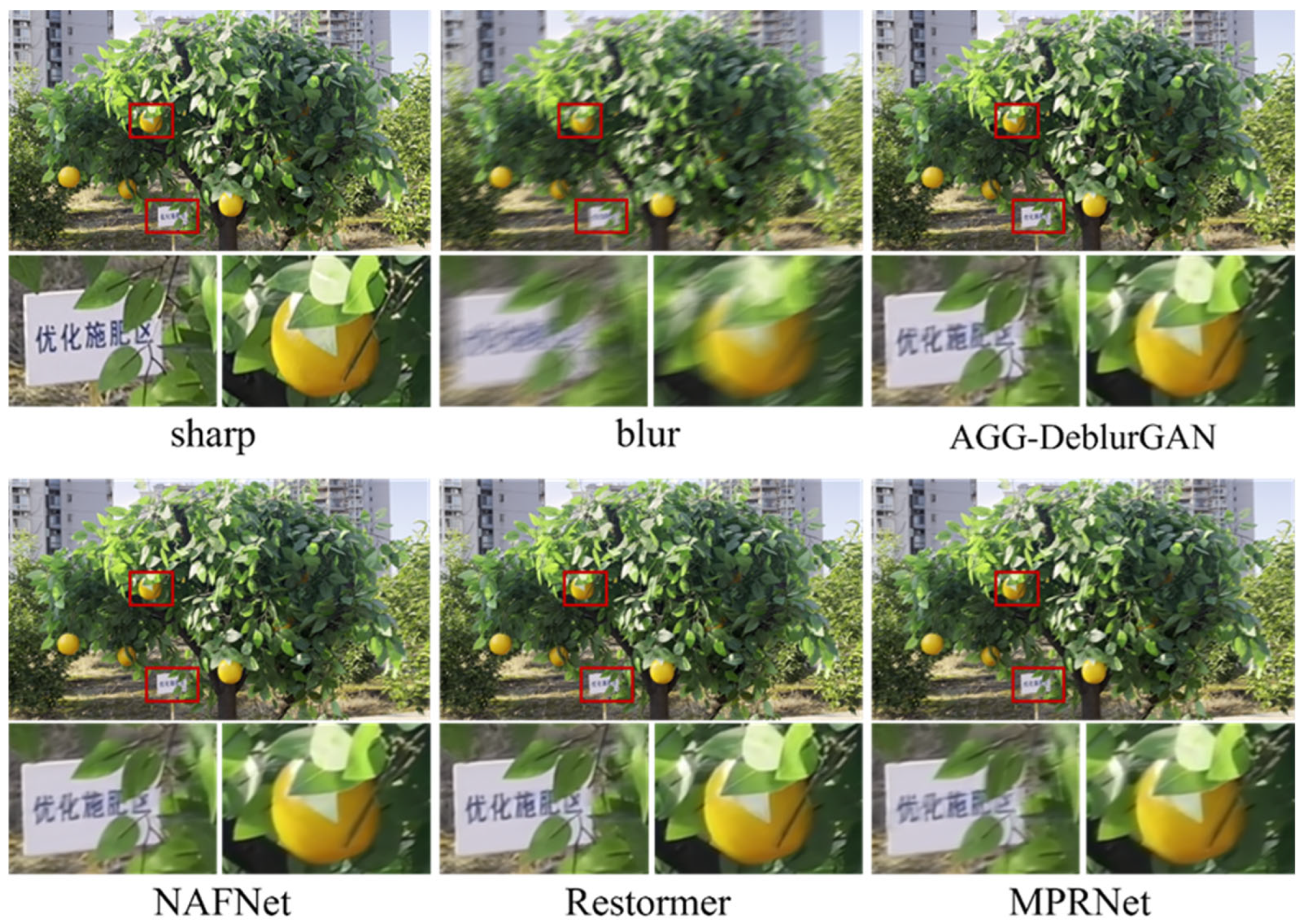 Plants 14 03085 g010 Plants 14 03085 g010