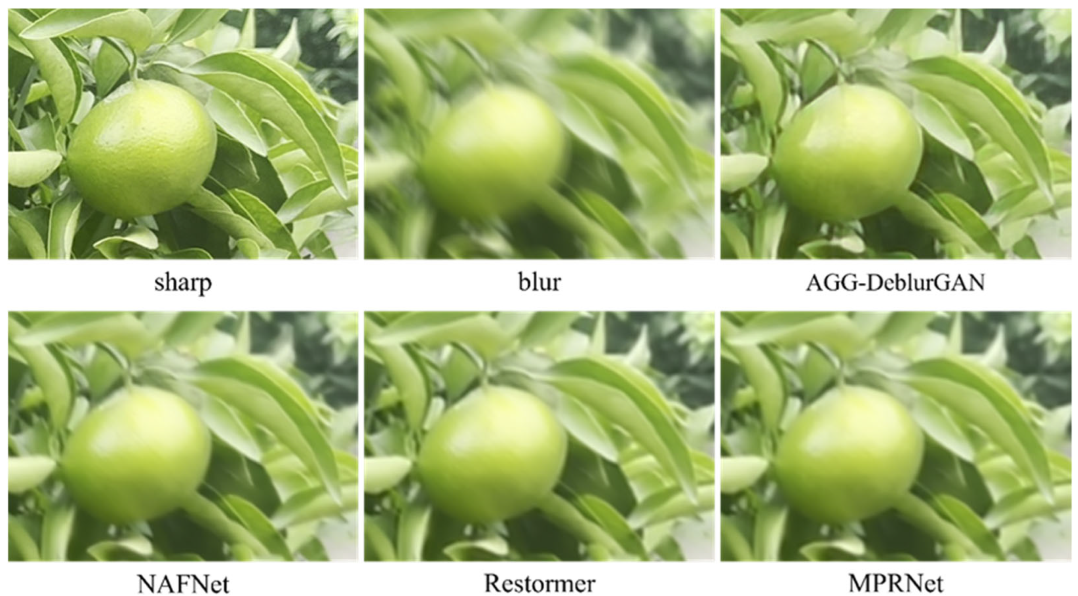 Plants 14 03085 g011 Plants 14 03085 g011