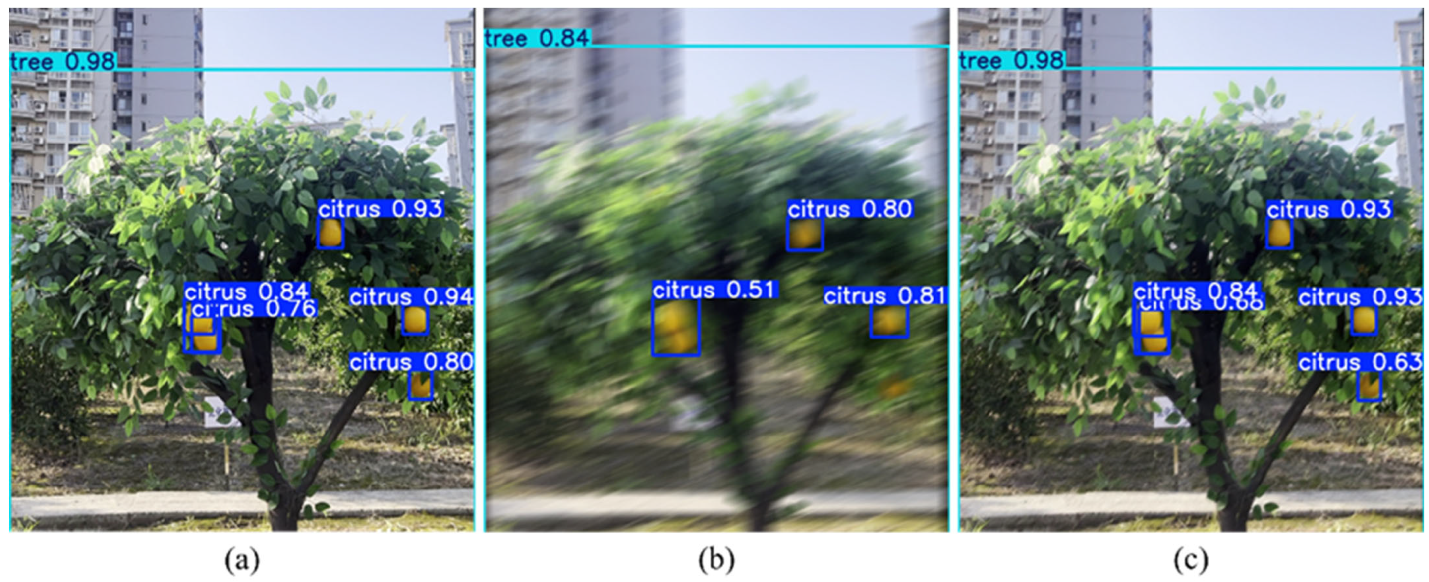 Plants 14 03085 g012 Plants 14 03085 g012